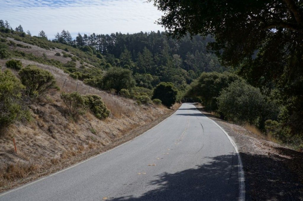 Paved road curving through dry hillsides and a dense forest. - Sam McDonald Park Trailhead – Pescadero Creek Road loop from Pescadero