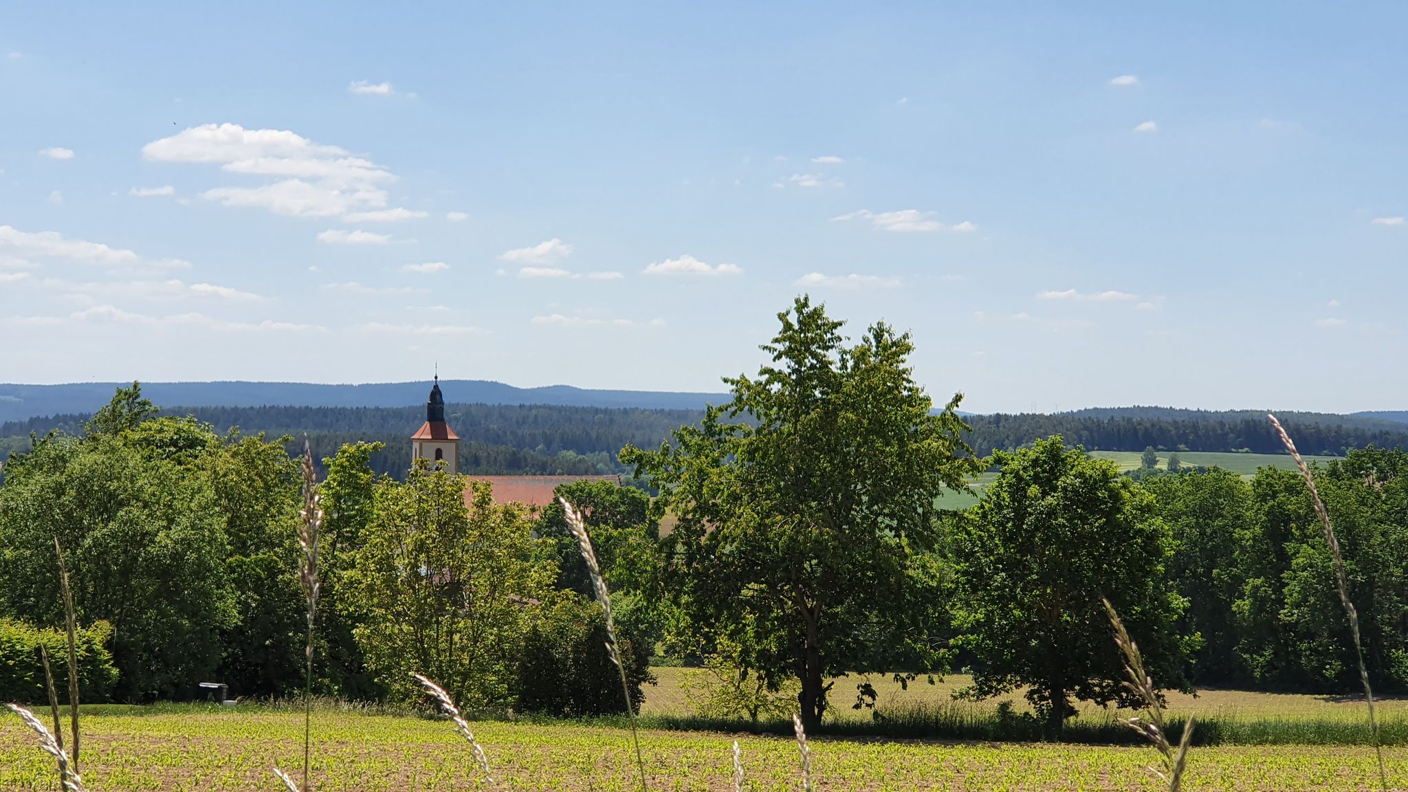 Blick auf Ehenfeld ©Regina Wolfohr