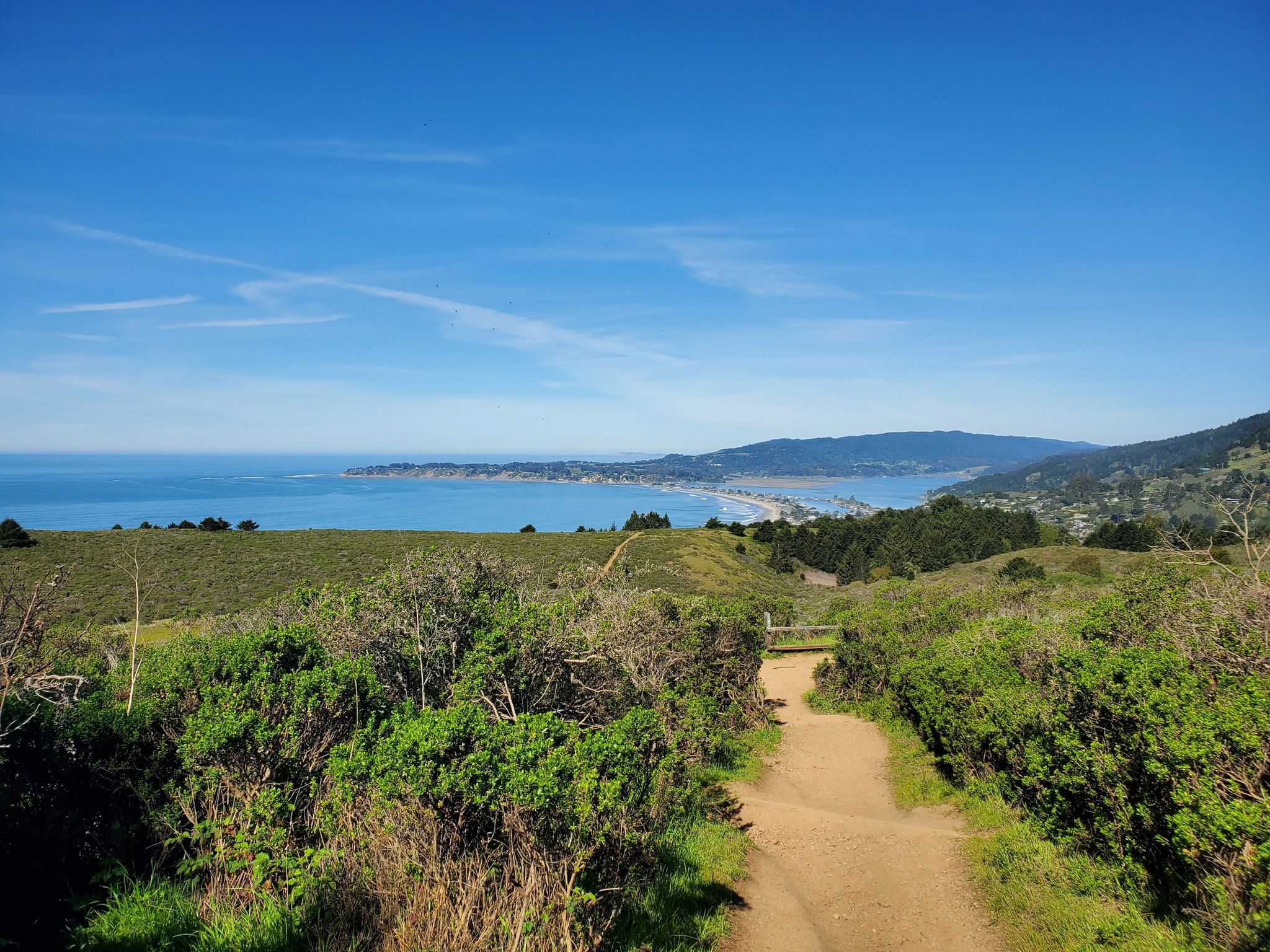Sunny dirt path winding through green hills towards a distant ocean. - Matt Davis and Dipsea Trail Loop