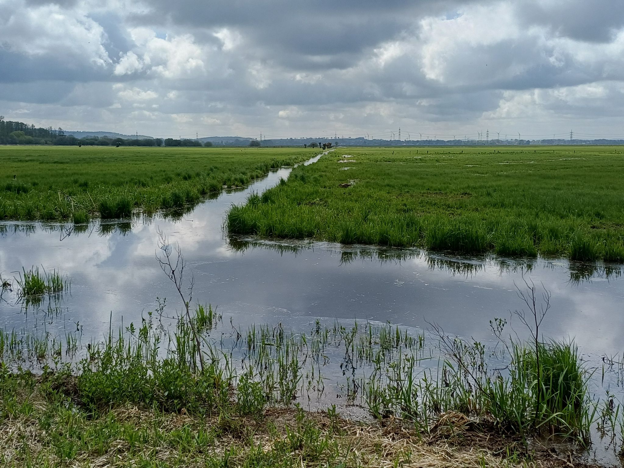 Ochsenmoor