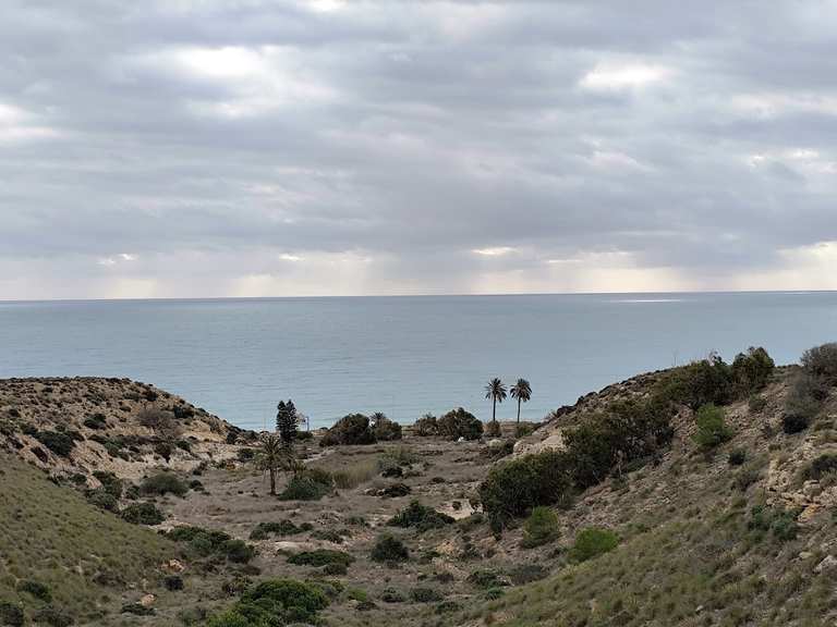 Elche Ferriol Atalayas Ciudad Luz Torrellano Elx | Mountainbike-Tour ...
