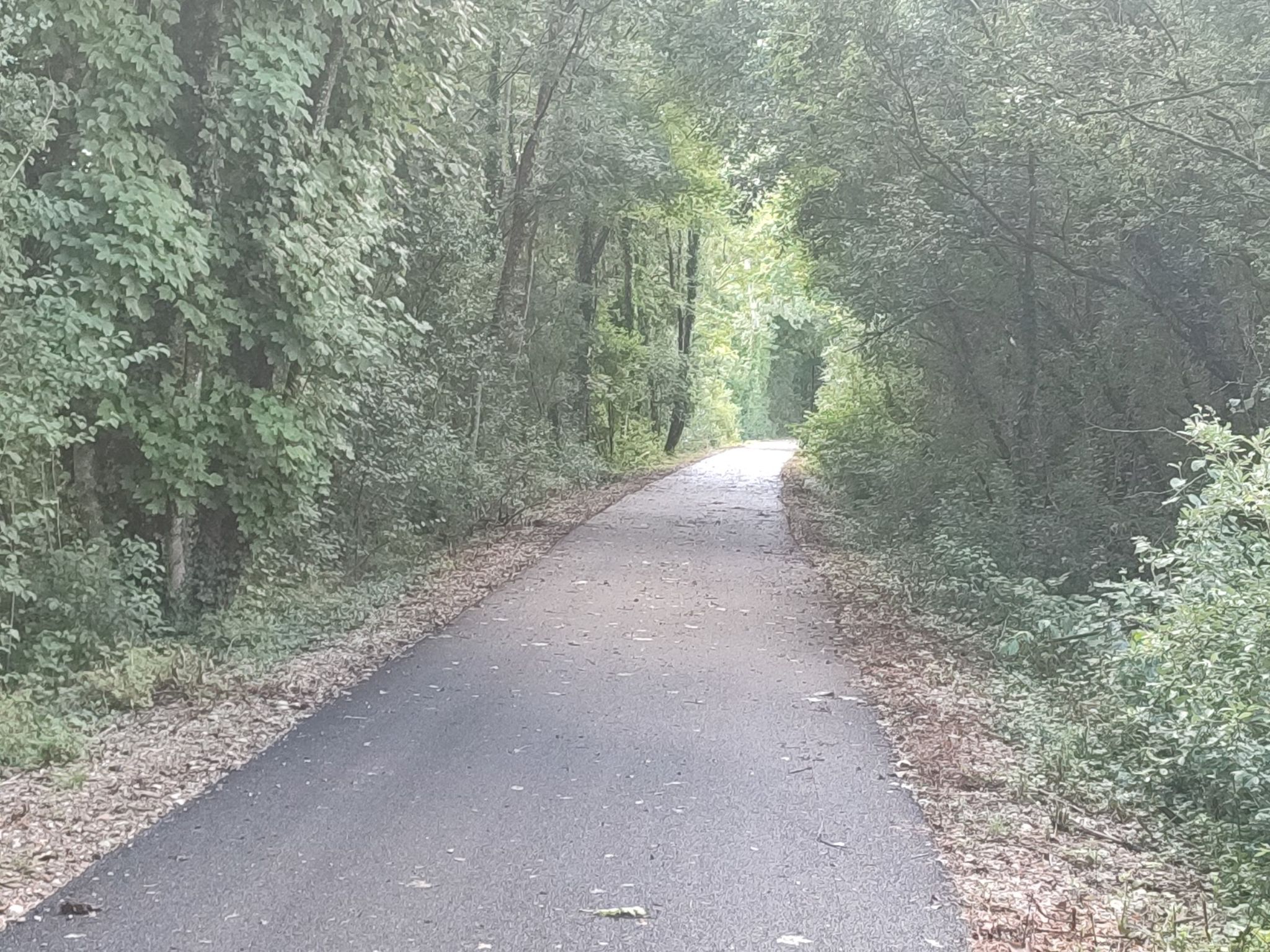 Bahntrassenradweg