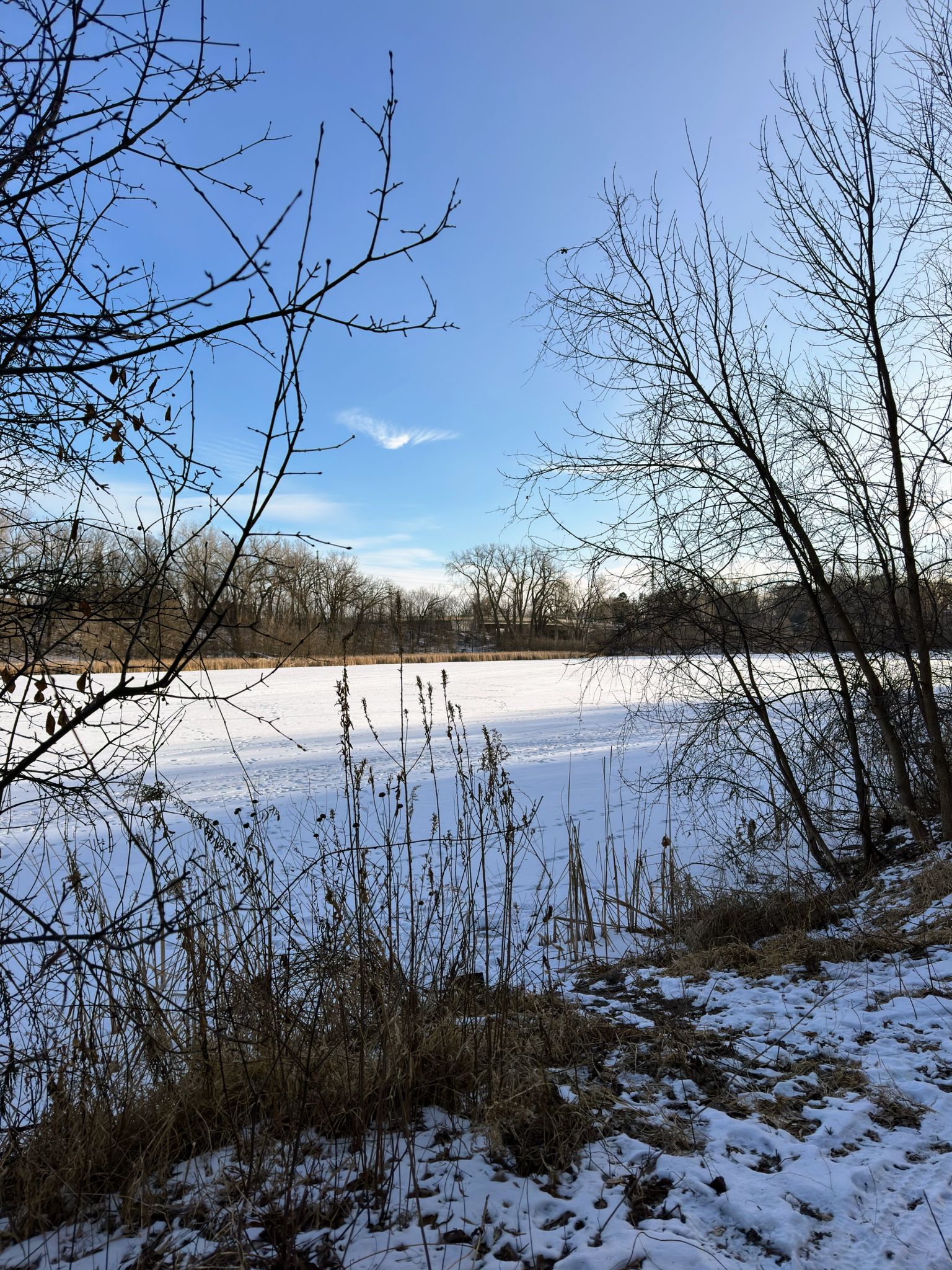 A View of Brownie Lake