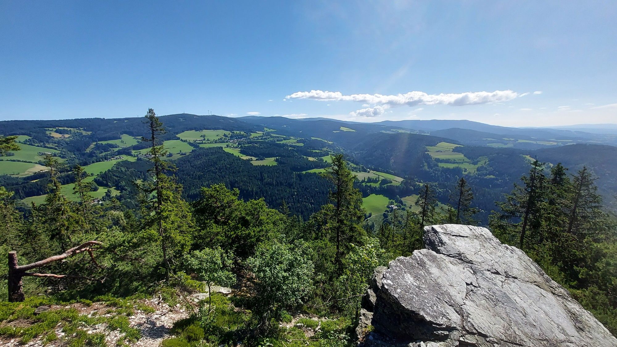 Aussicht vom Arzberg Gipfel