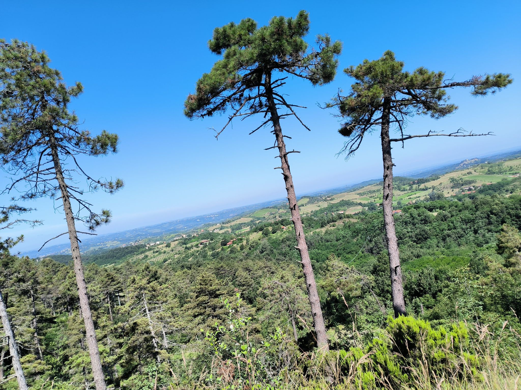 vista panoramica dal "percorso salute"