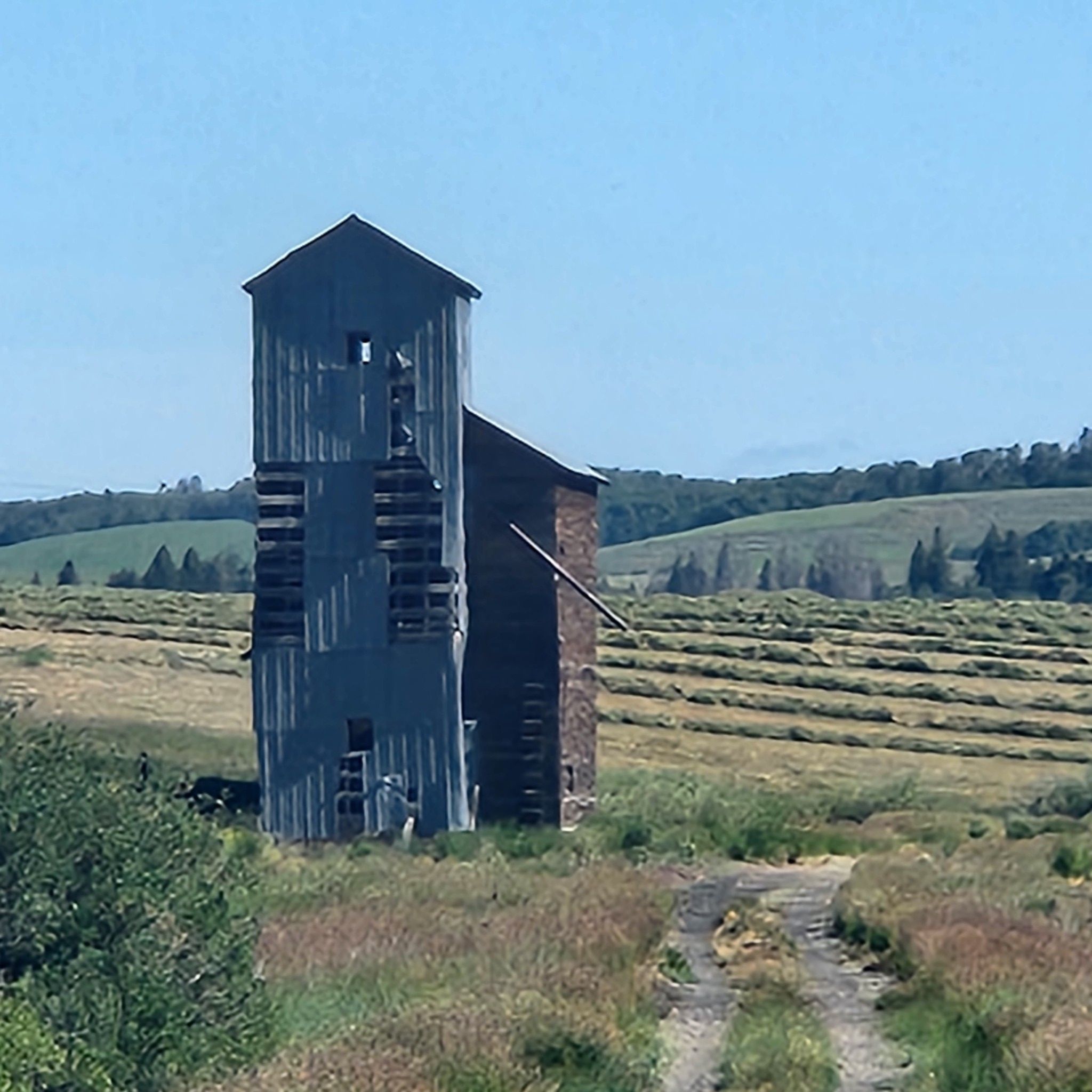 An old, tall barn stands beside mown hay fields under a clear blue sky. - McRenolds Reservoir loop from Judkins