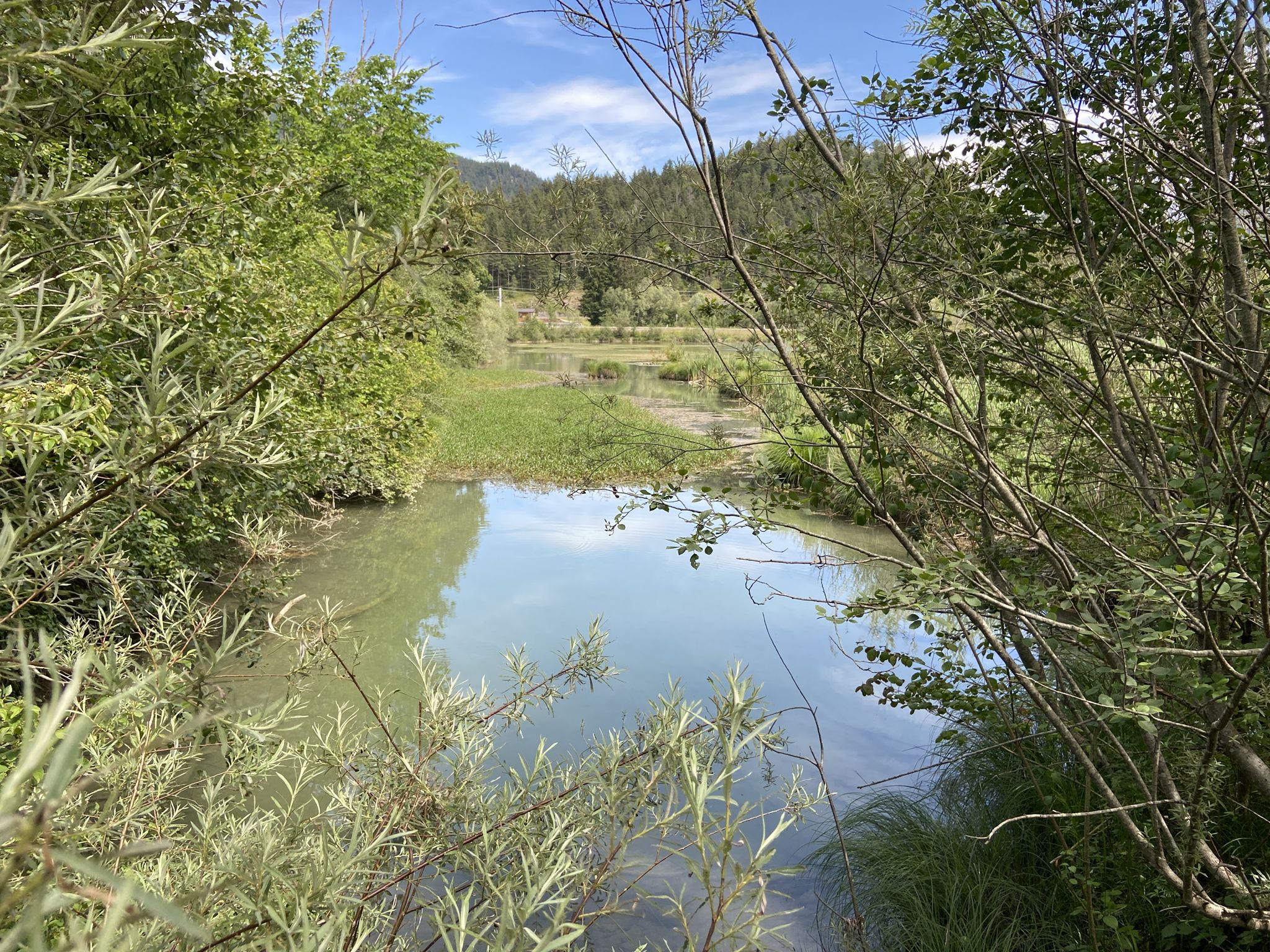 Blick vom Vogelbeobachtungsturm
