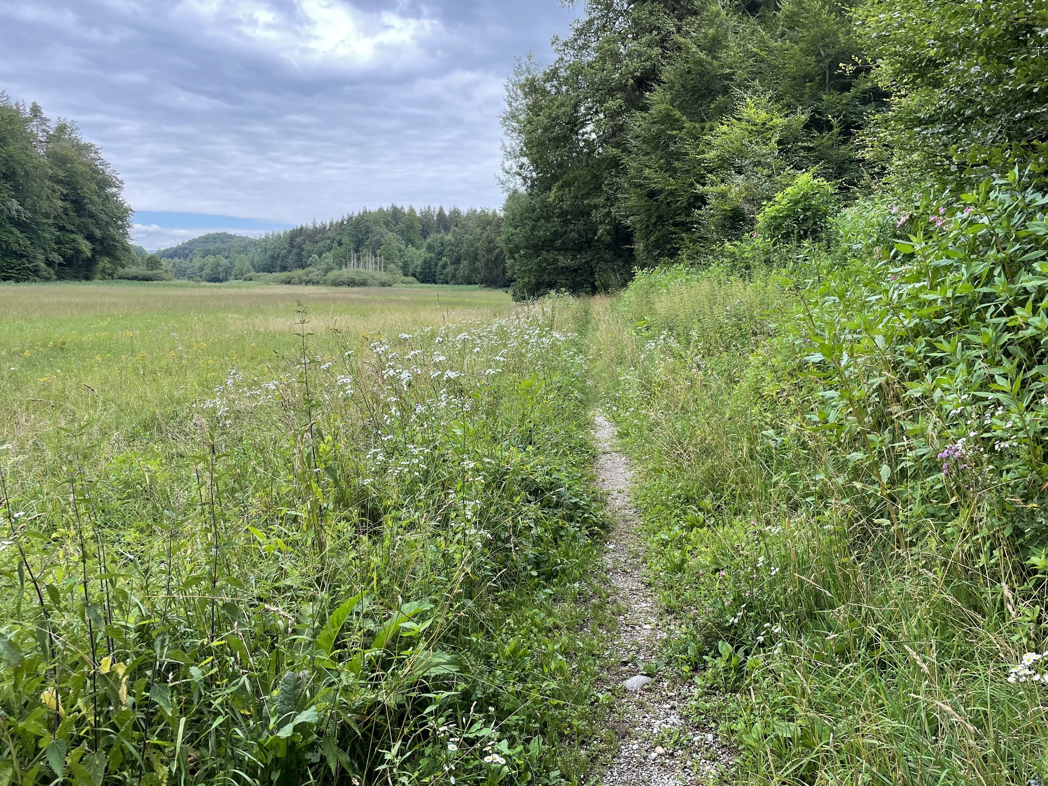 Pfad zum Brunnensee