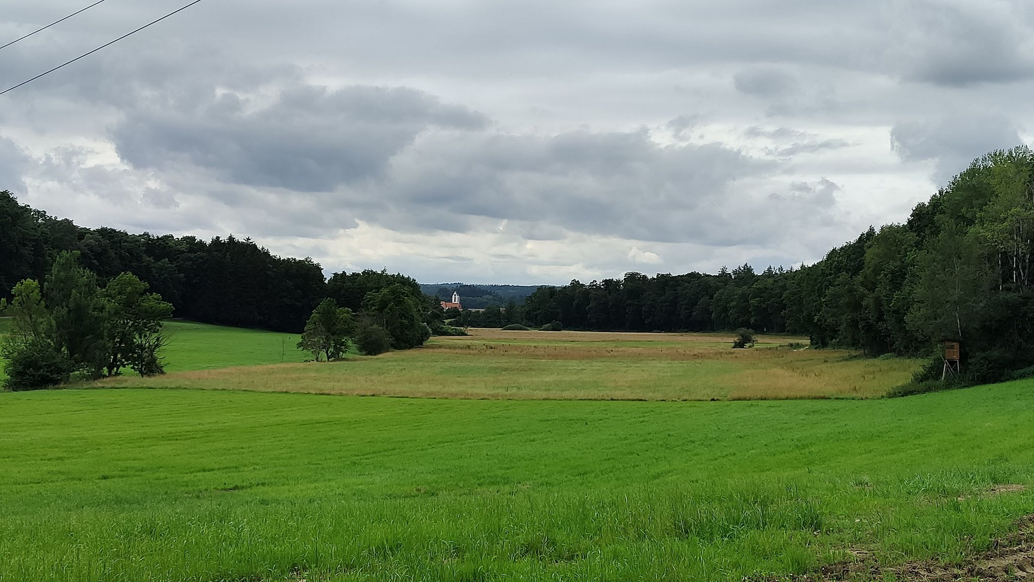 Blick auf Orsingen