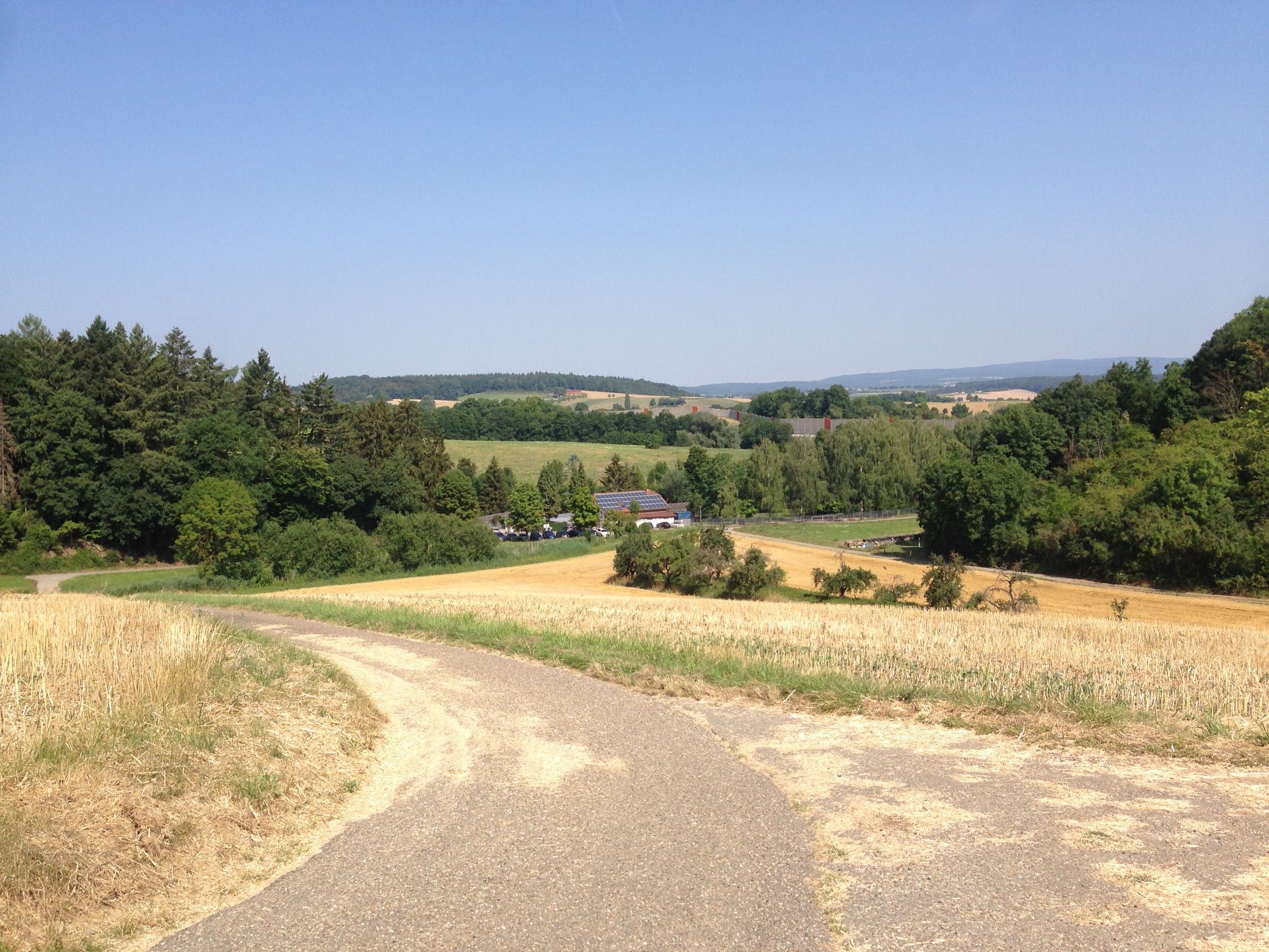 Blick zurück auf den Tierpark