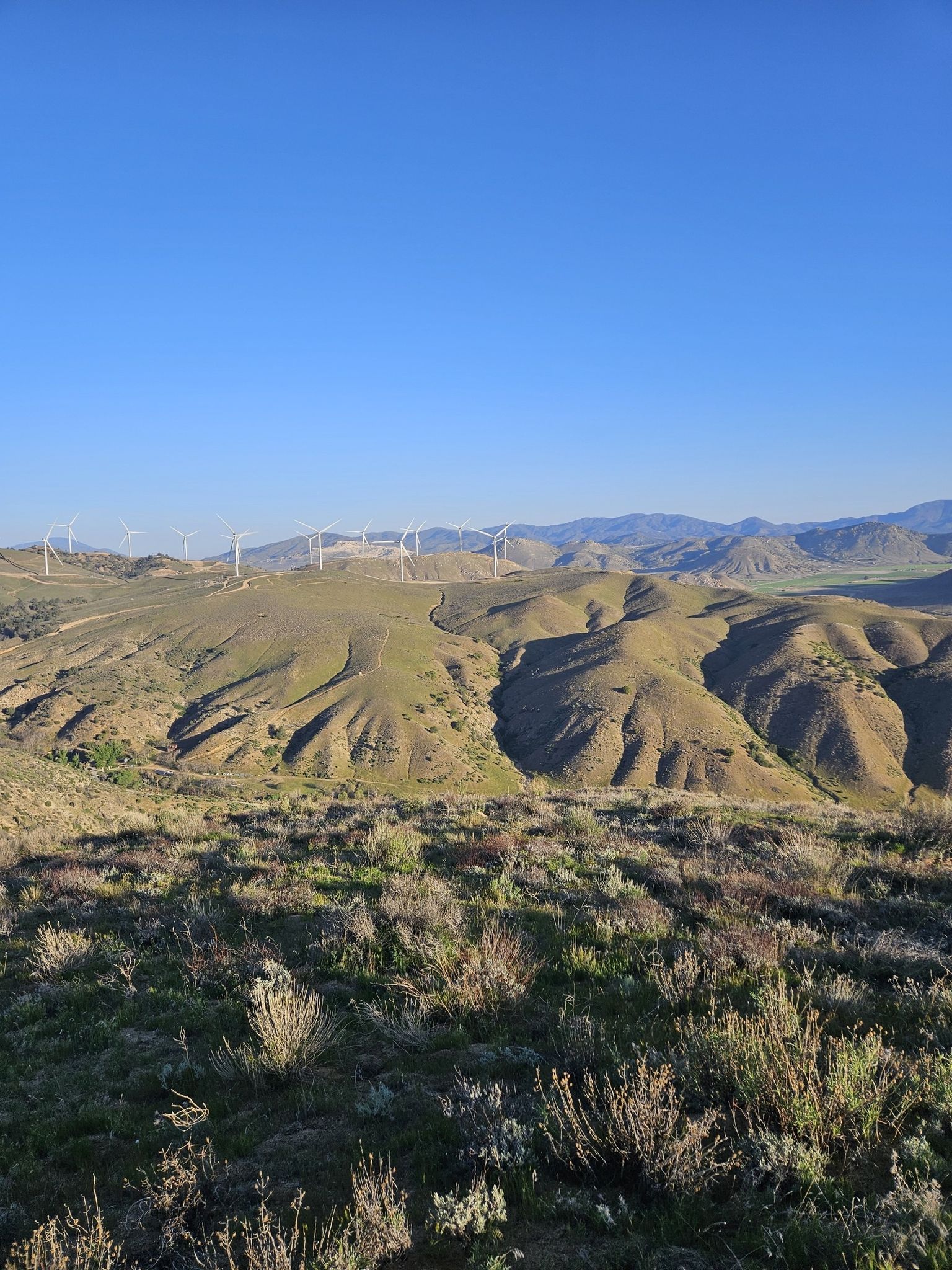 Wind turbines dot arid, rolling hills under a clear blue sky. - Pacific Crest National Scenic Trail