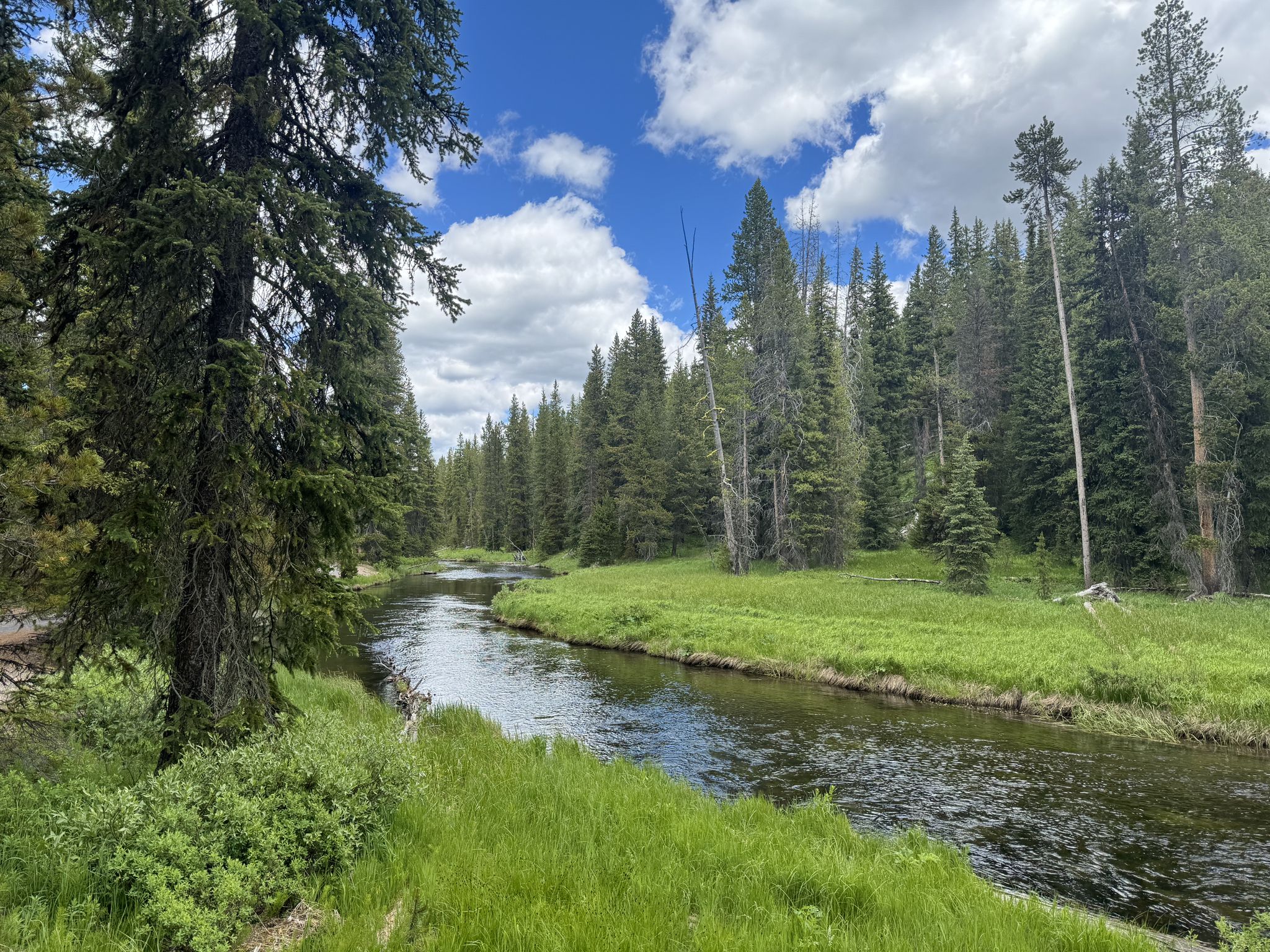 River winding through a lush green forest under a partly cloudy sky. - Lone Star Trail