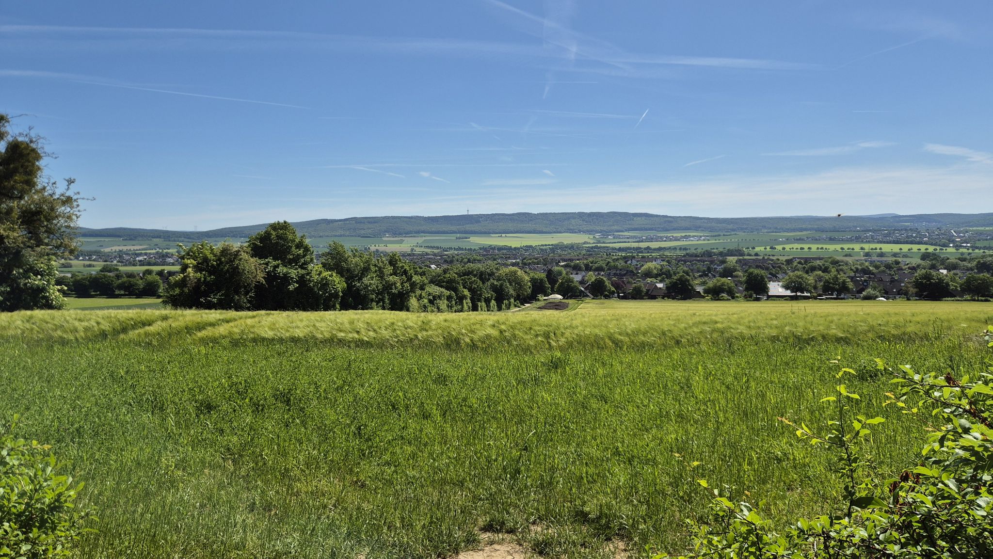 Blick in Richtung Innerste / Griesberg