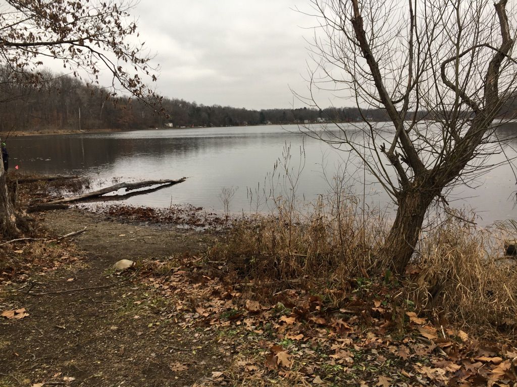 Overcast view of a calm lake with bare trees and fallen leaves. - Hickory Hills and Waterloo-Pinckney Loop