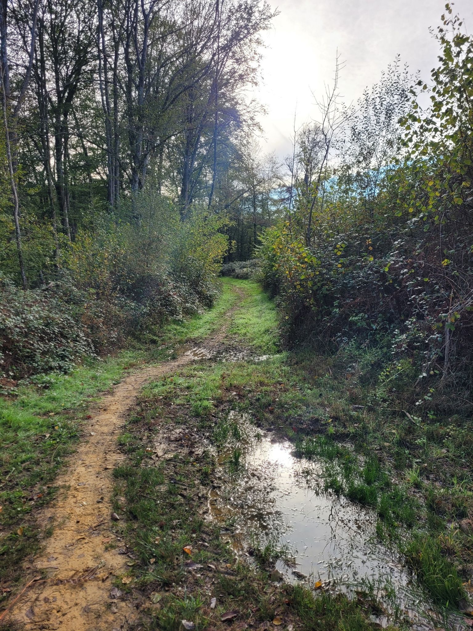 Un sentier inconnu de Komoot, mais pas de Google Maps...