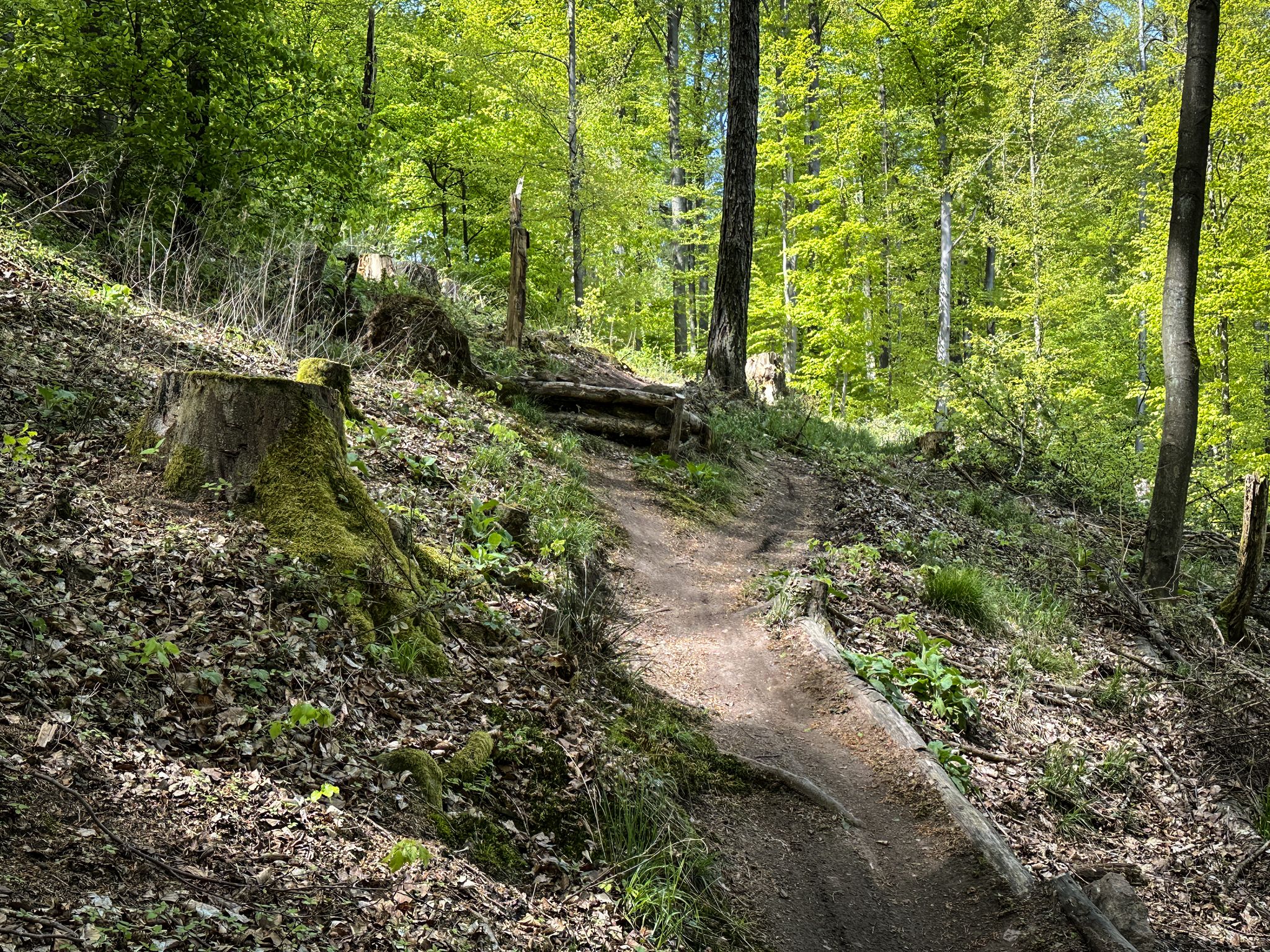 Ordentliche Drop im Abschnitt 2/3