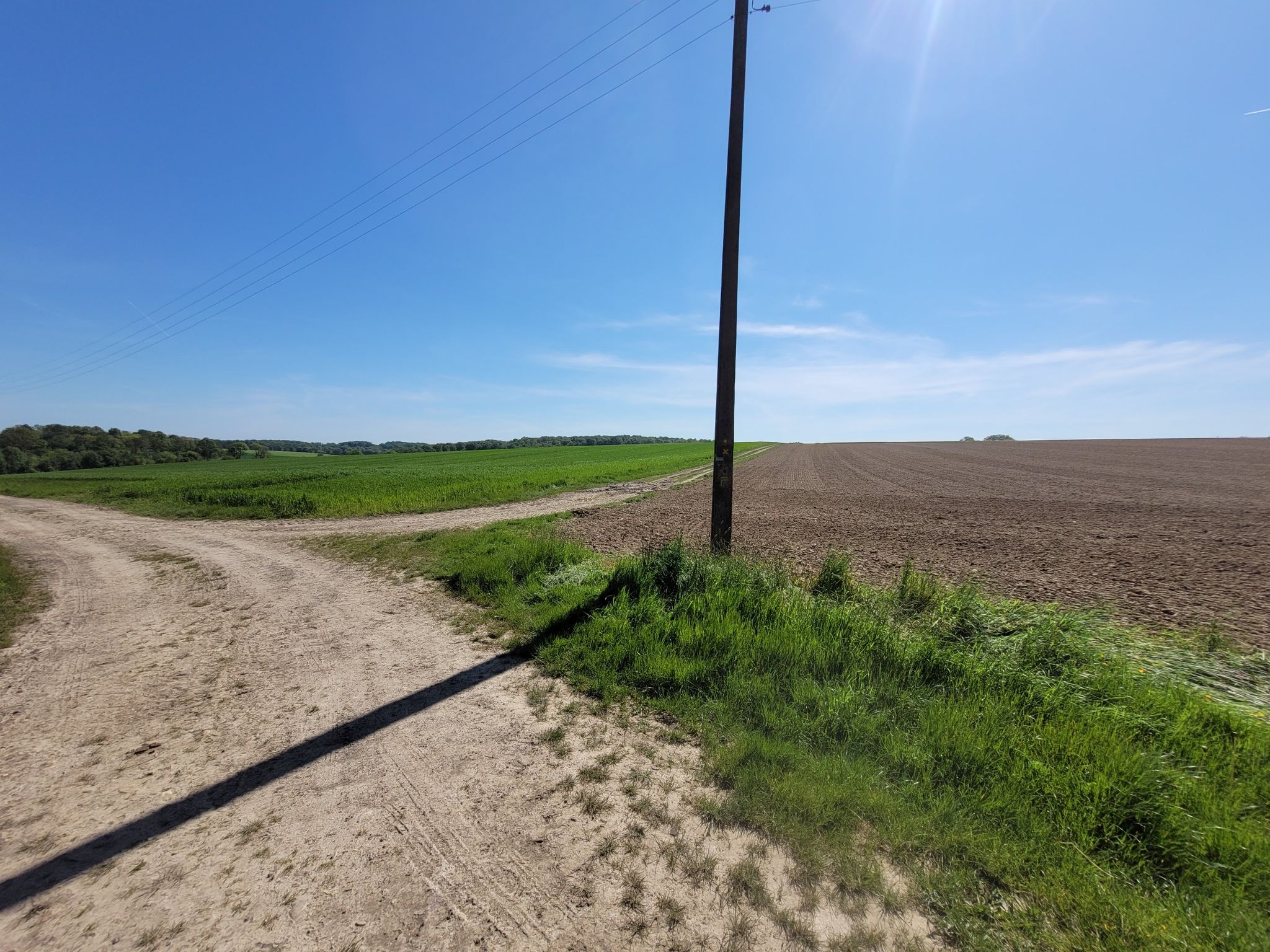 croisée des chemins