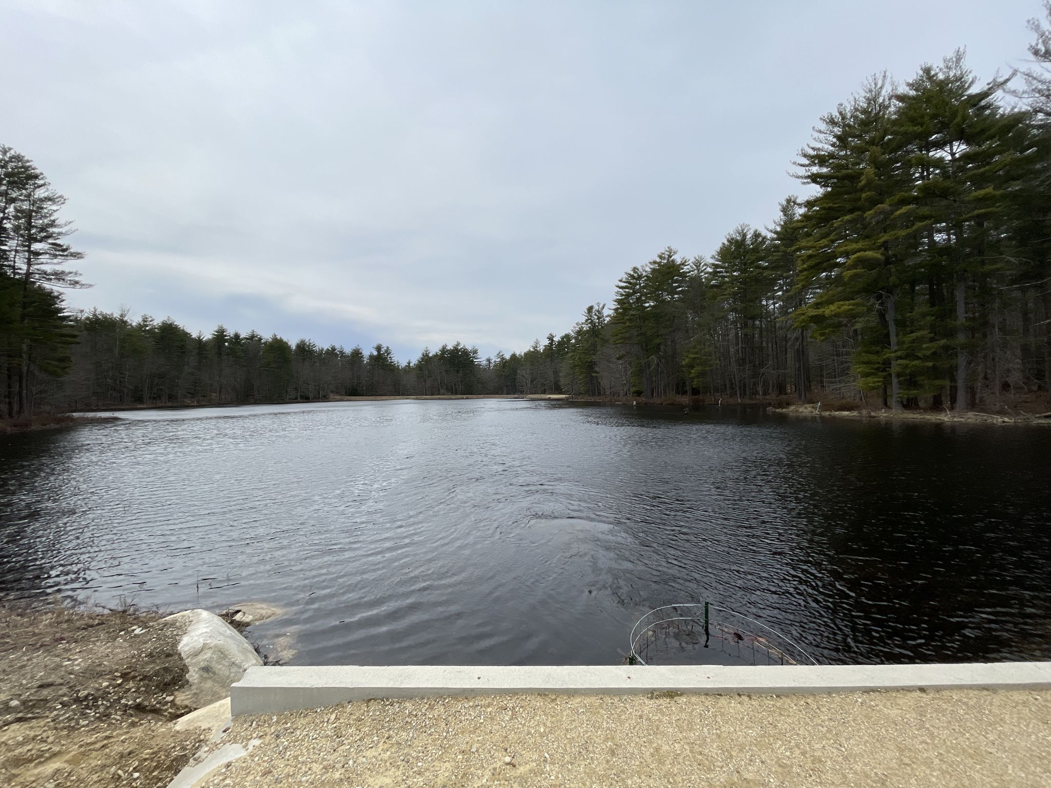 Dark lake surrounded by dense pine forest under an overcast sky. - Beaver Brook Loop