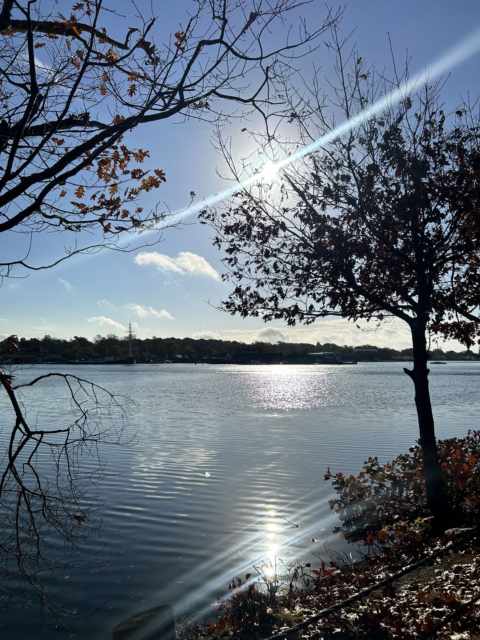 Sunlight glinting on a calm body of water framed by bare trees. - Union Baptist Church – Hoxie Scenic Overlook loop from Groton Long Point