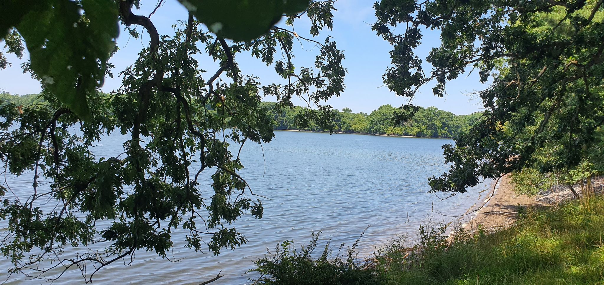 Sunny view of a lake through green tree branches, with a sandy shore. - Saddle River and Oradell Reservoir Loop