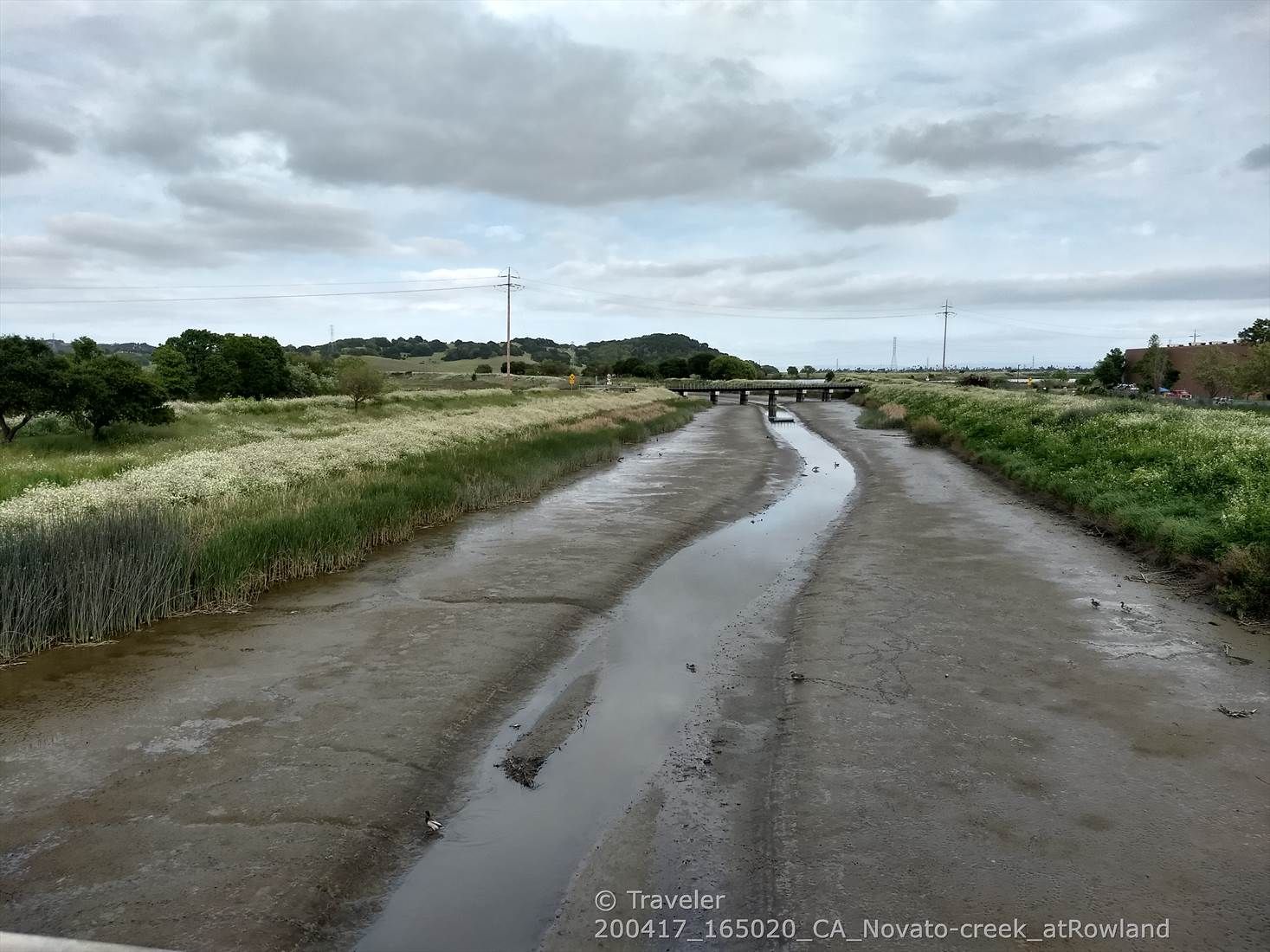 A narrow stream winds through a wide, muddy, grassy plain under clouds. - Old Town Novato loop via Lincoln Hill Pathway