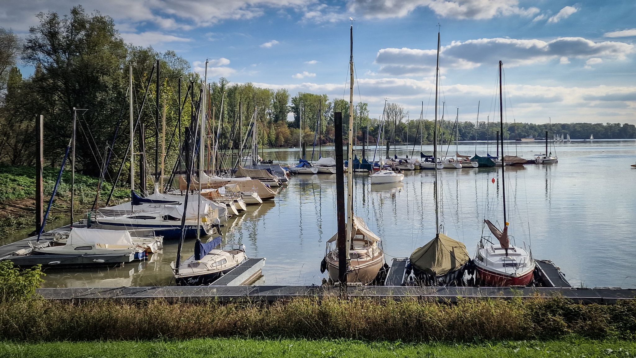 Segelgemeinschaft Waldsee, Otterstädter Altrhein