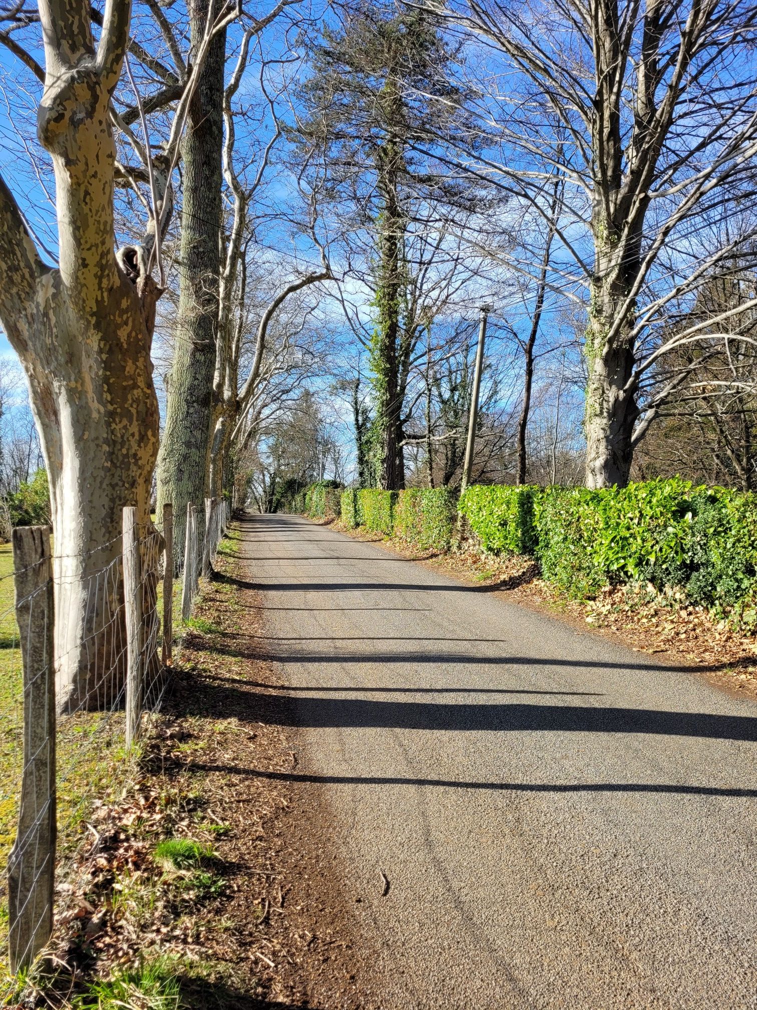 Chemin des Crêtes.