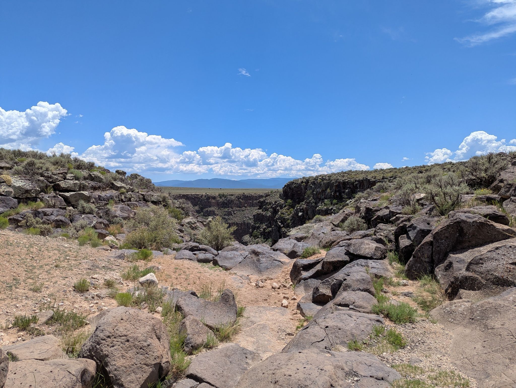 Rocky, arid terrain with sparse bushes overlooking a distant canyon under blue sky. - West Rim Trail