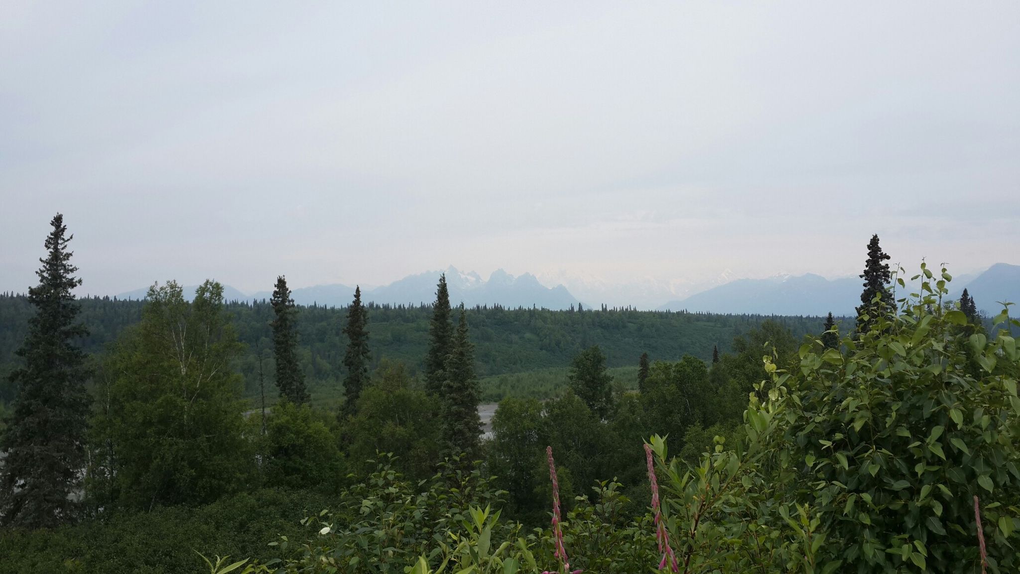 AK, Denali State Park, South view