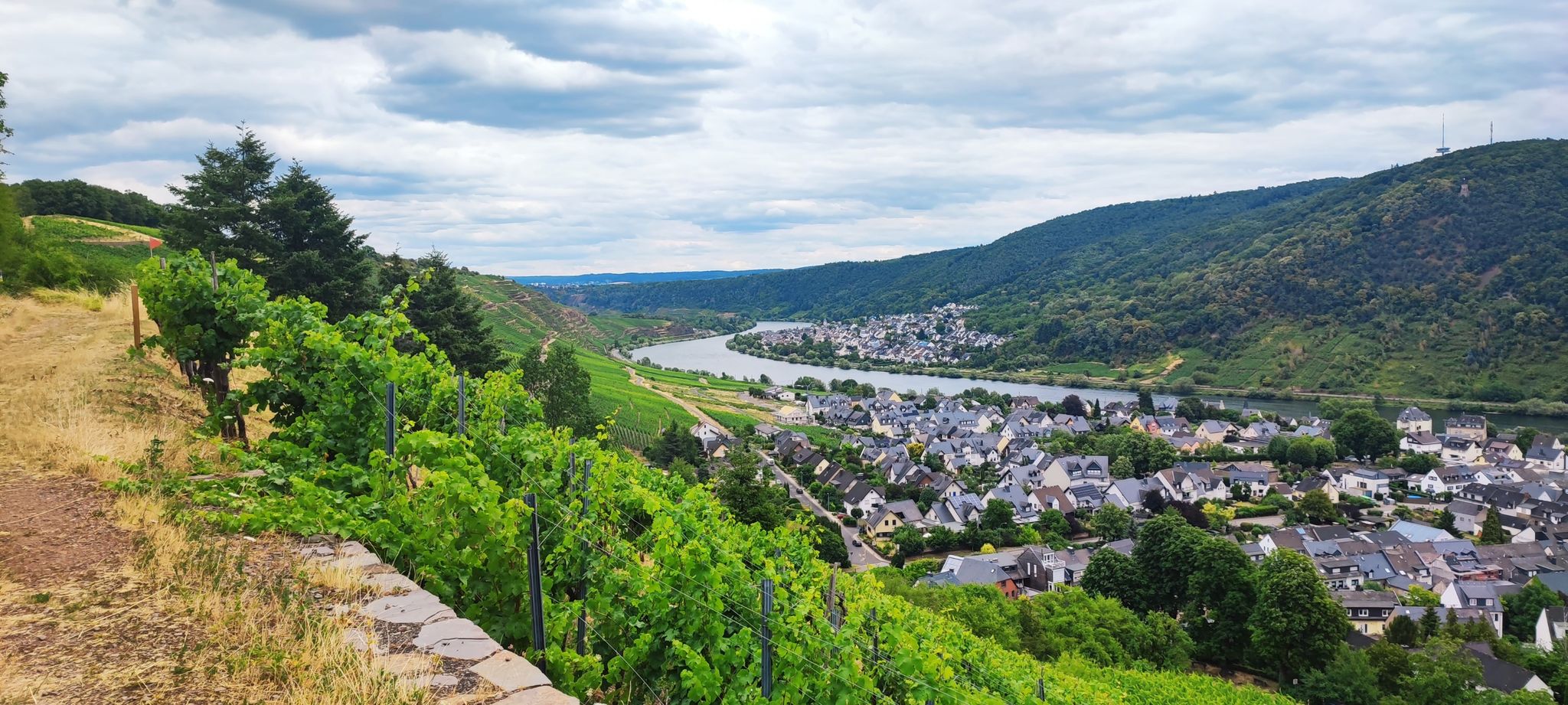 Blick vom Winninger Domgarten