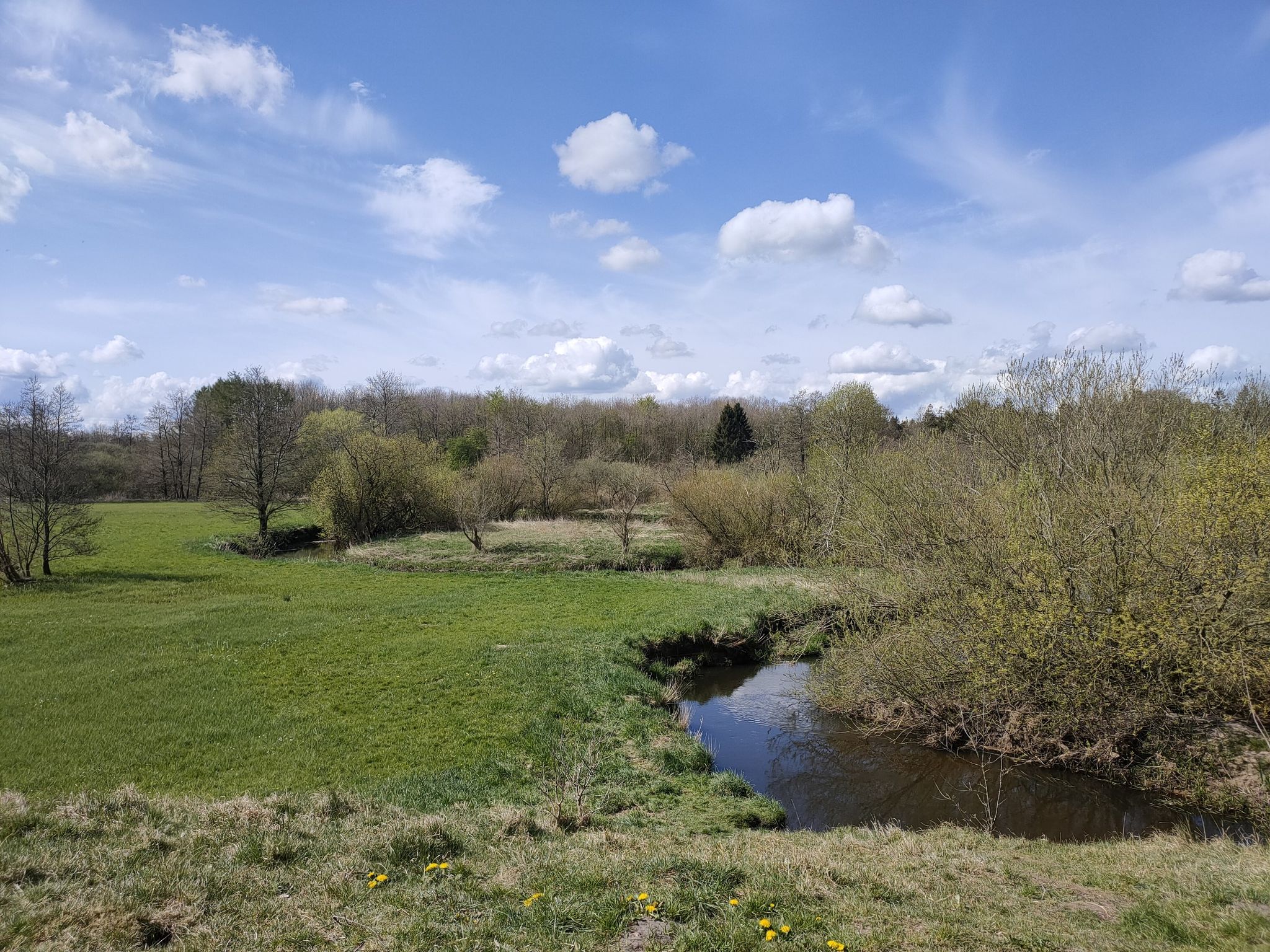 Schutzhütte an der treene