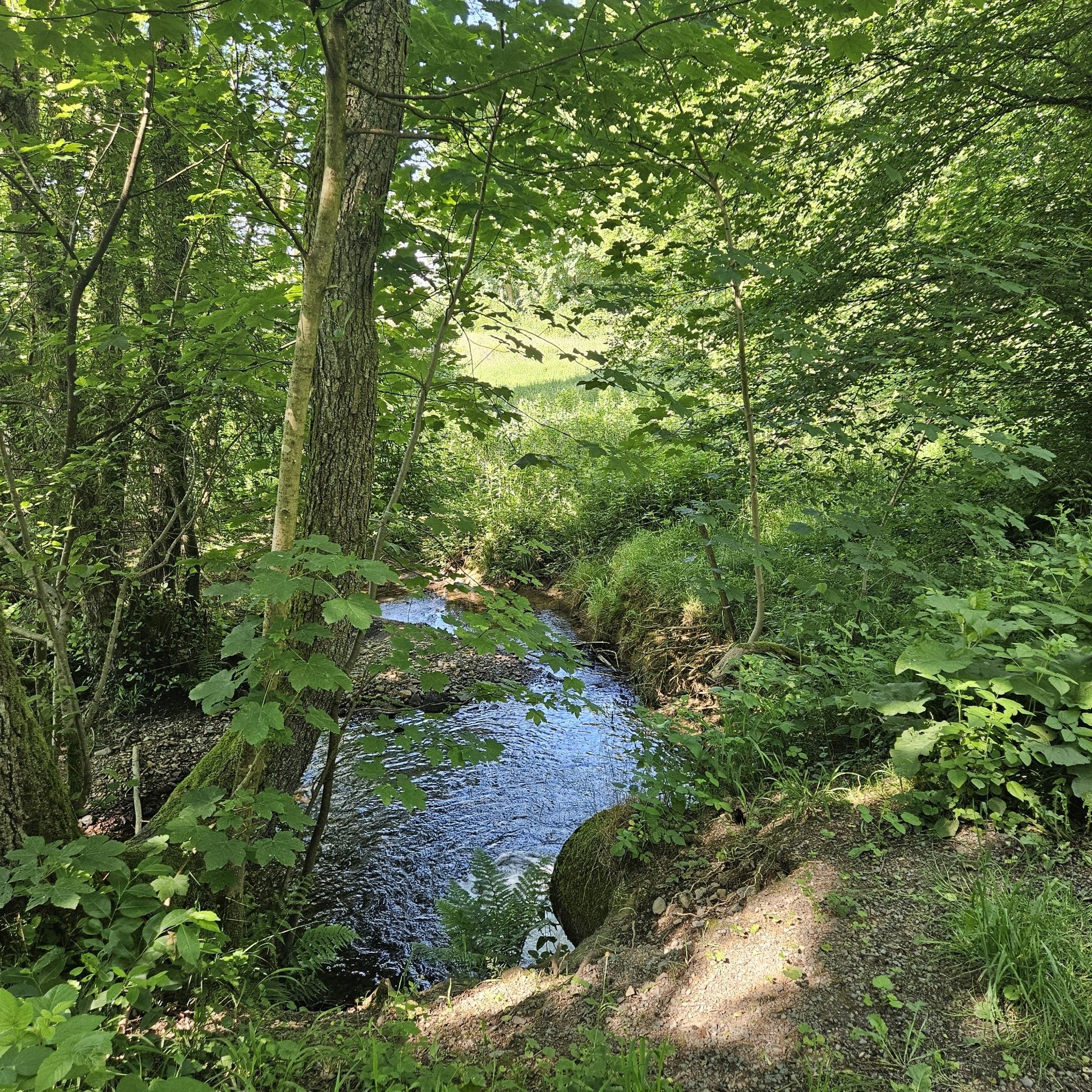 Naturschutzgebiet Schimmelsbachtal