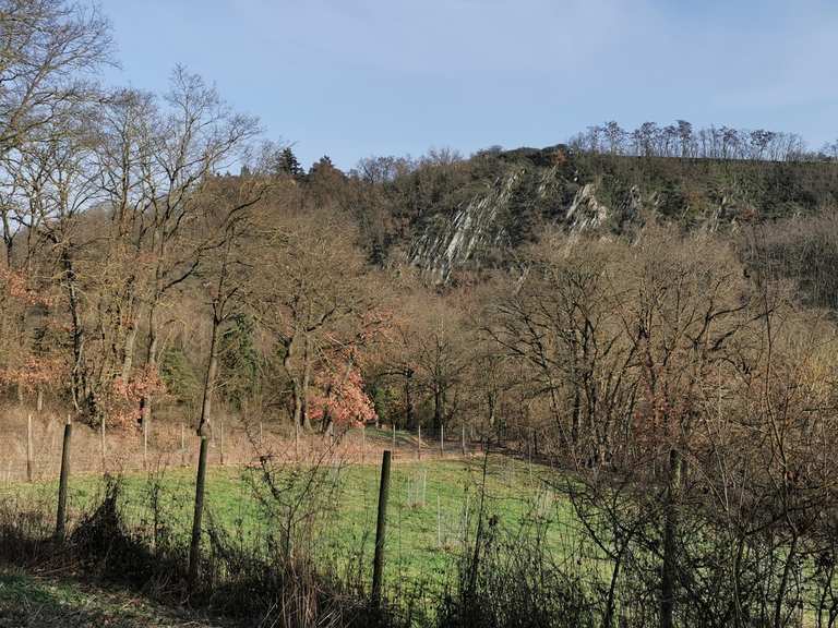 Nettetal Runde Kerben Ruitsch Welling | Wanderung | Komoot