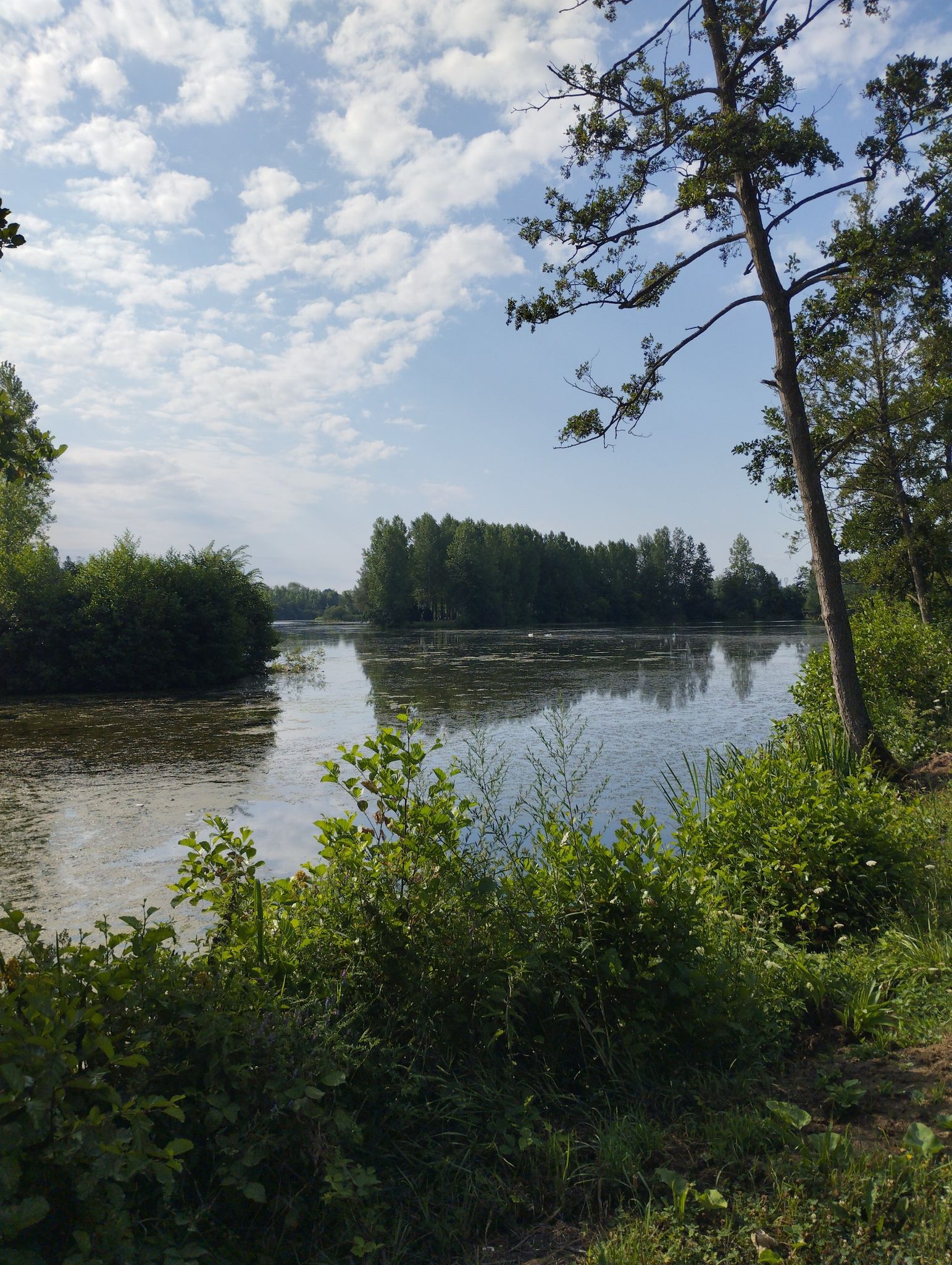 Etang communal