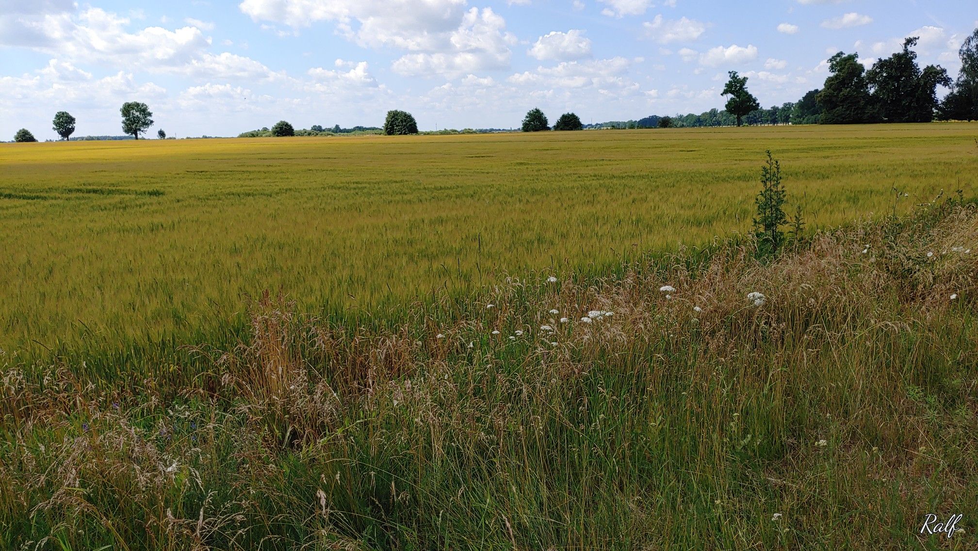 leuchtend