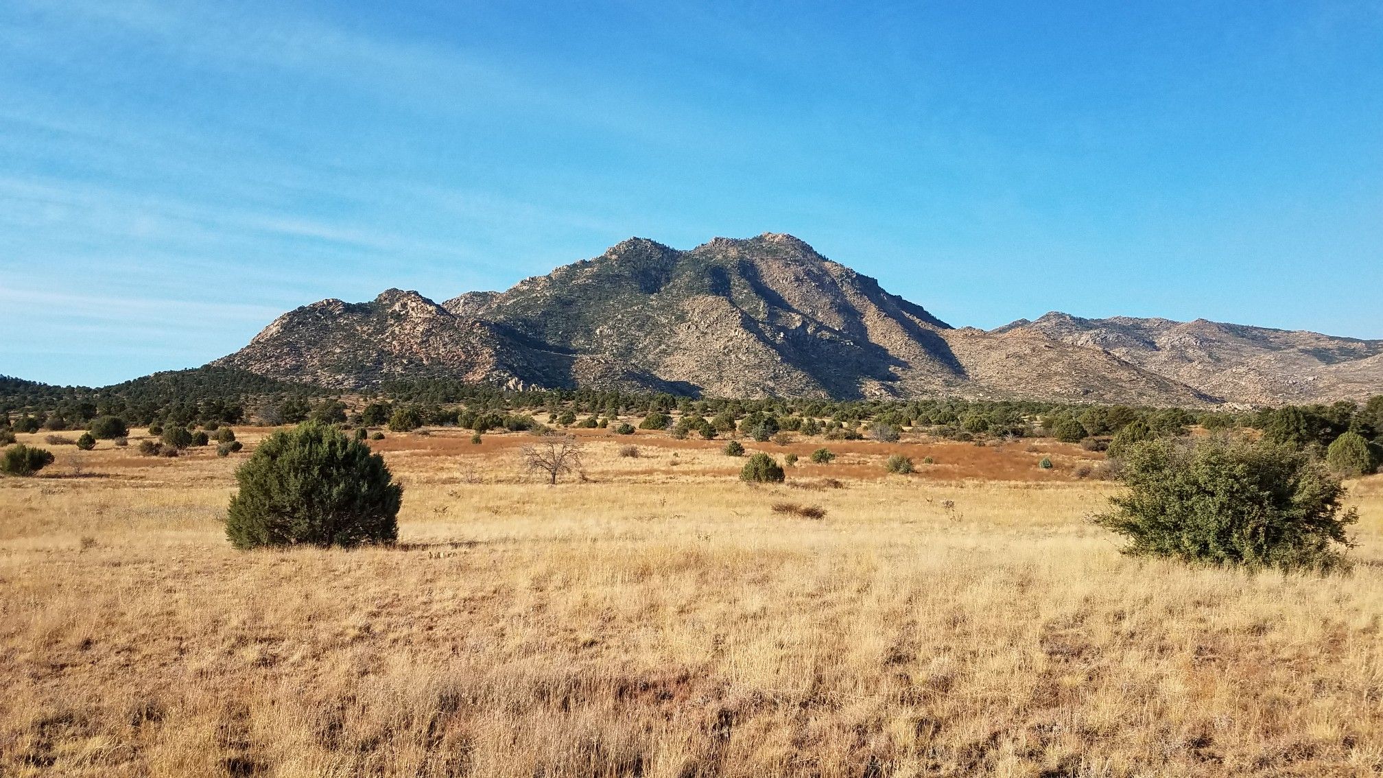 Sunny dry field with scattered bushes and distant mountains under clear sky. - Willow Trail #347