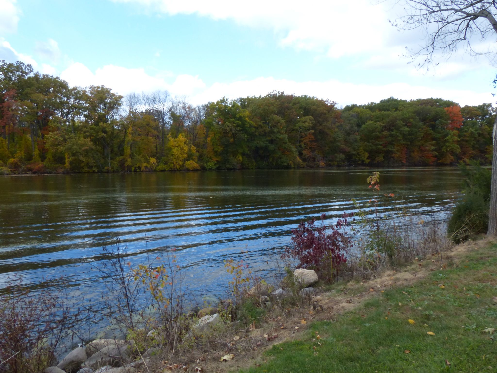 Wide river with autumn trees on the far bank under a cloudy sky. - Lansing River Trail Loop