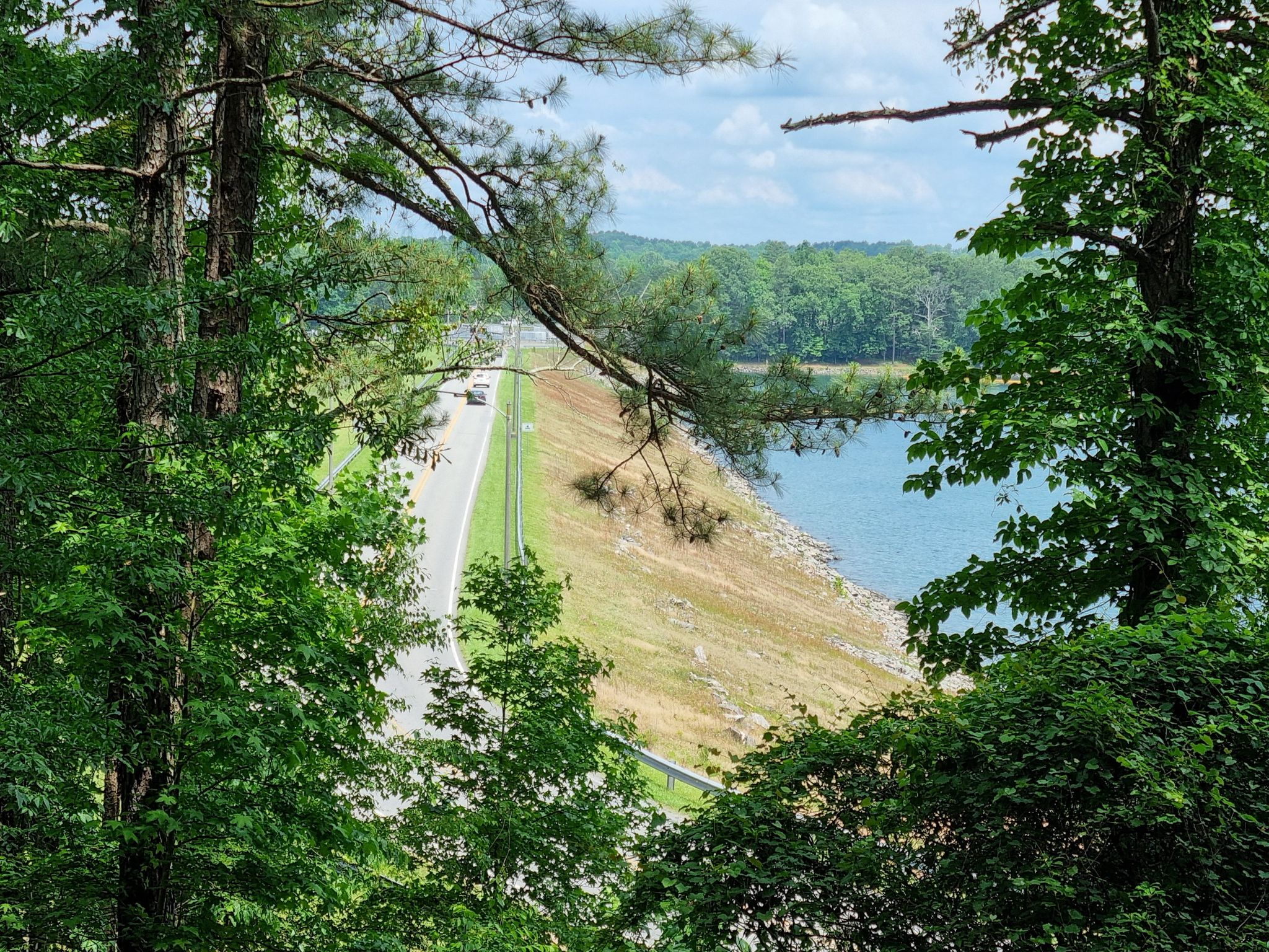 Road next to a large body of water, framed by green trees. - Bowmans Island and Laurel Ridge Trails