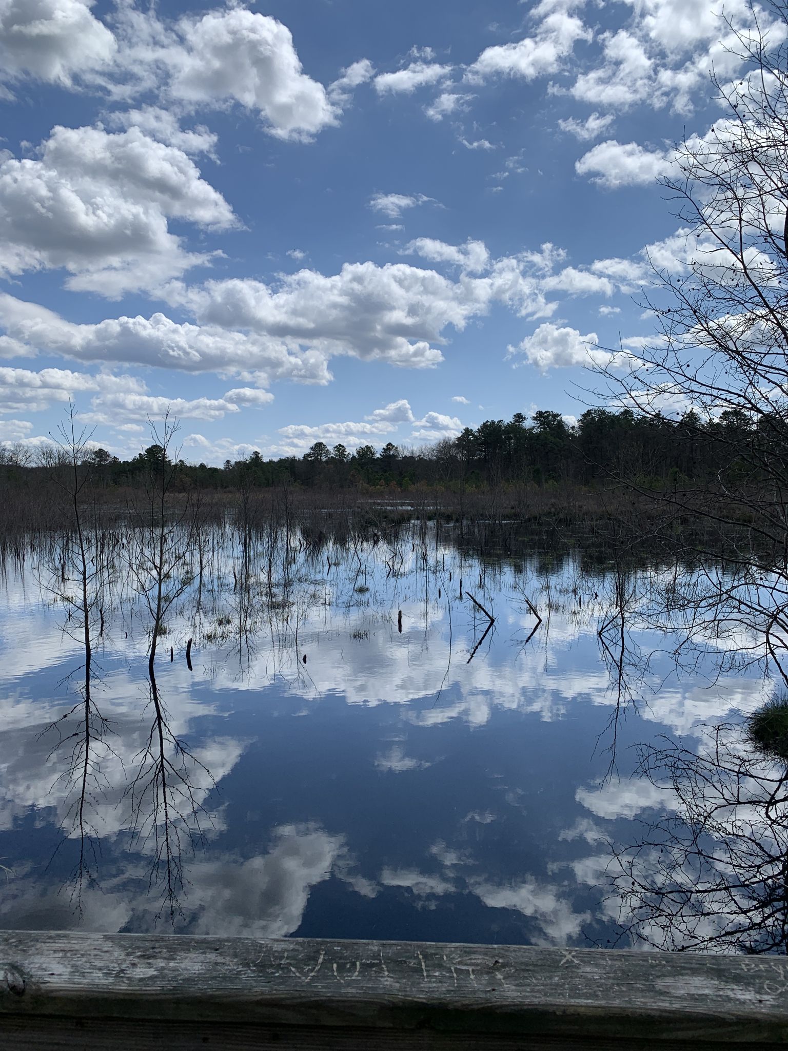 Blue sky and white clouds reflect on still water with bare trees. - Peaceful Partners Trail – Black Run Preserve loop from Evesham Township
