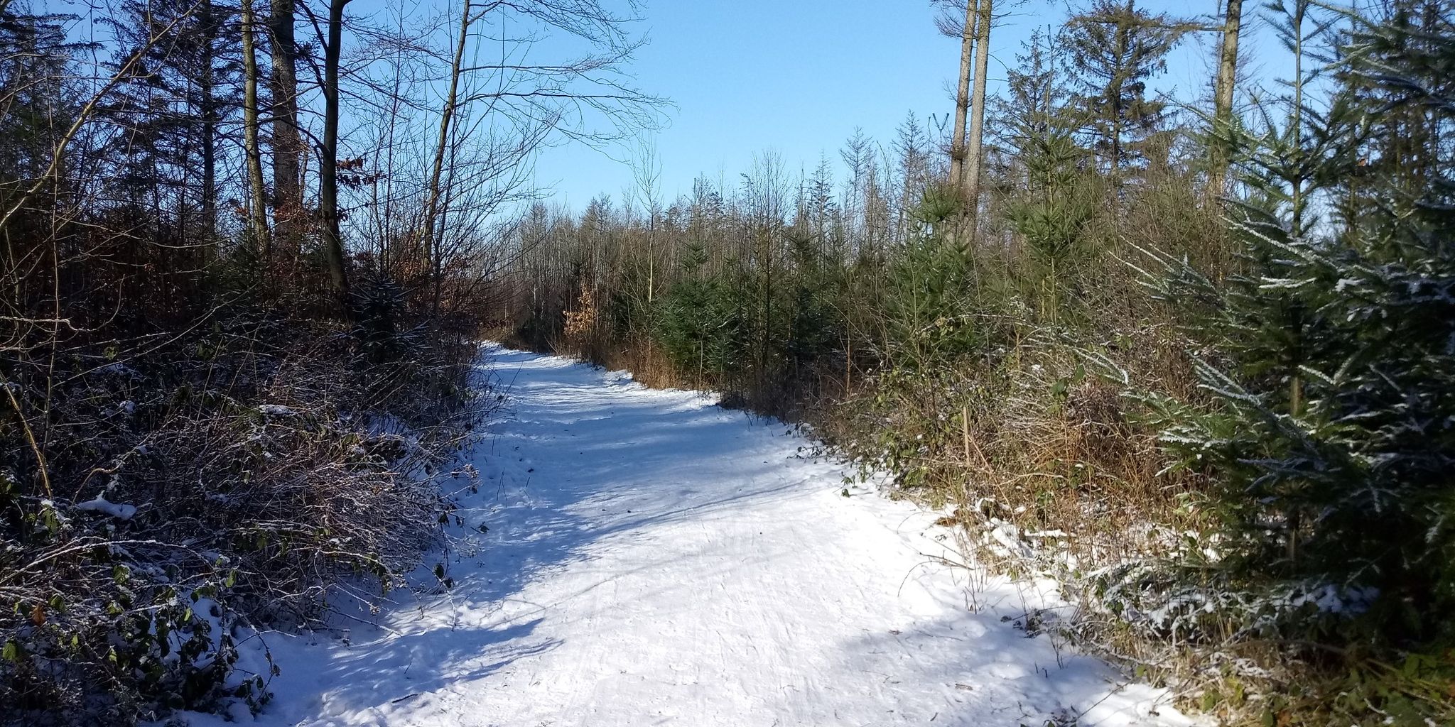 wald2
