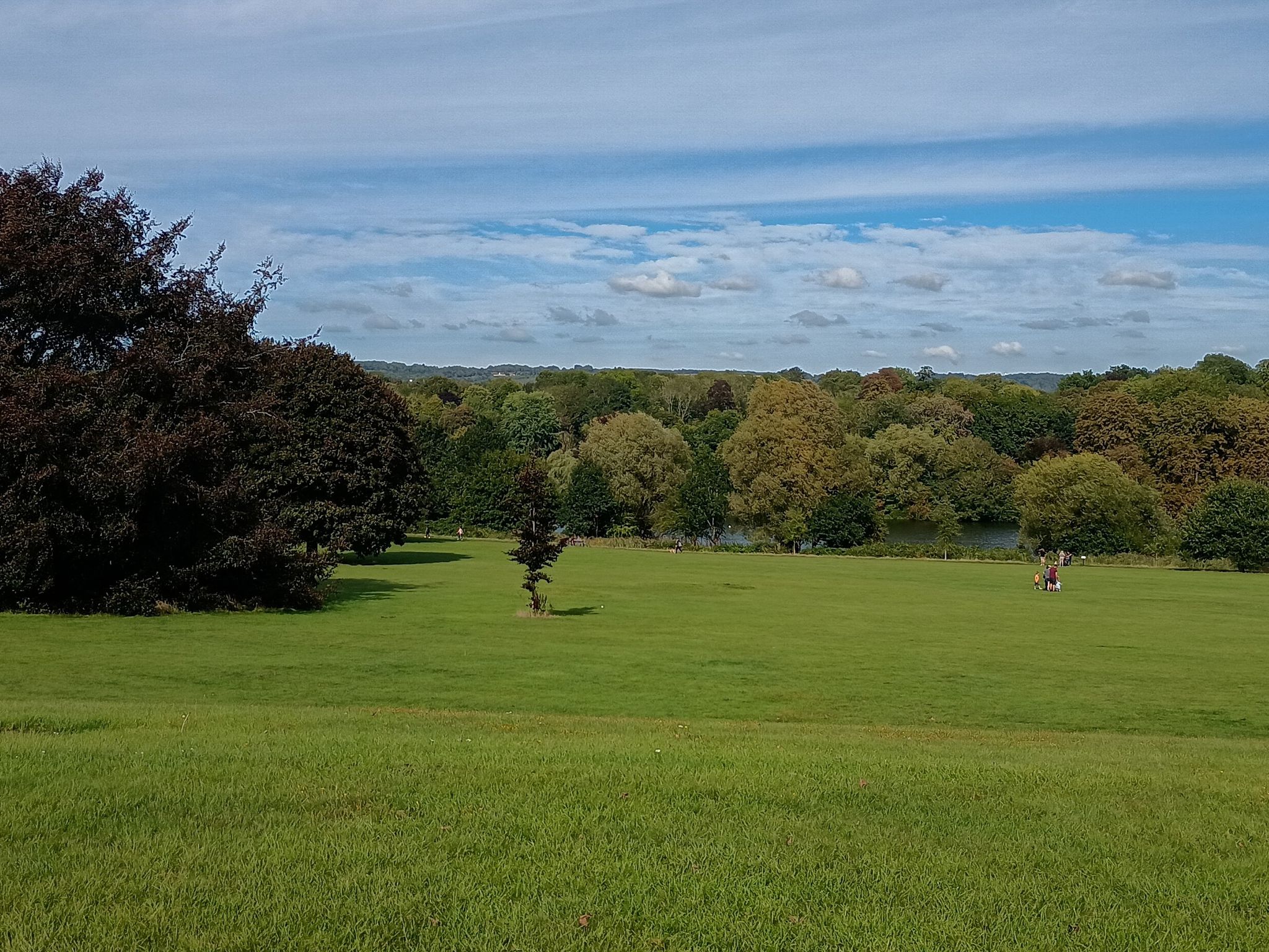 Mote Park