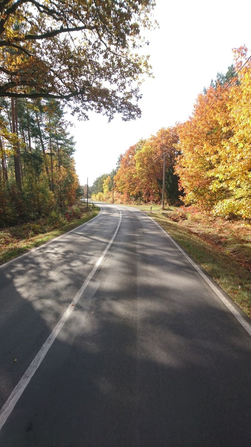 hinter Drachhausen Richtung Spreewald
