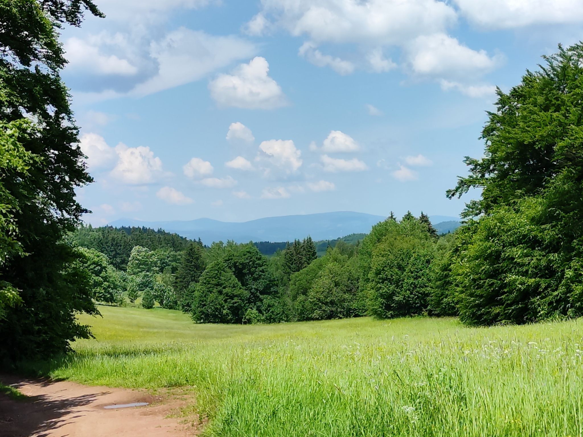 Blick zurück auf den Nationalpark Adrsbach Teplice Skaly