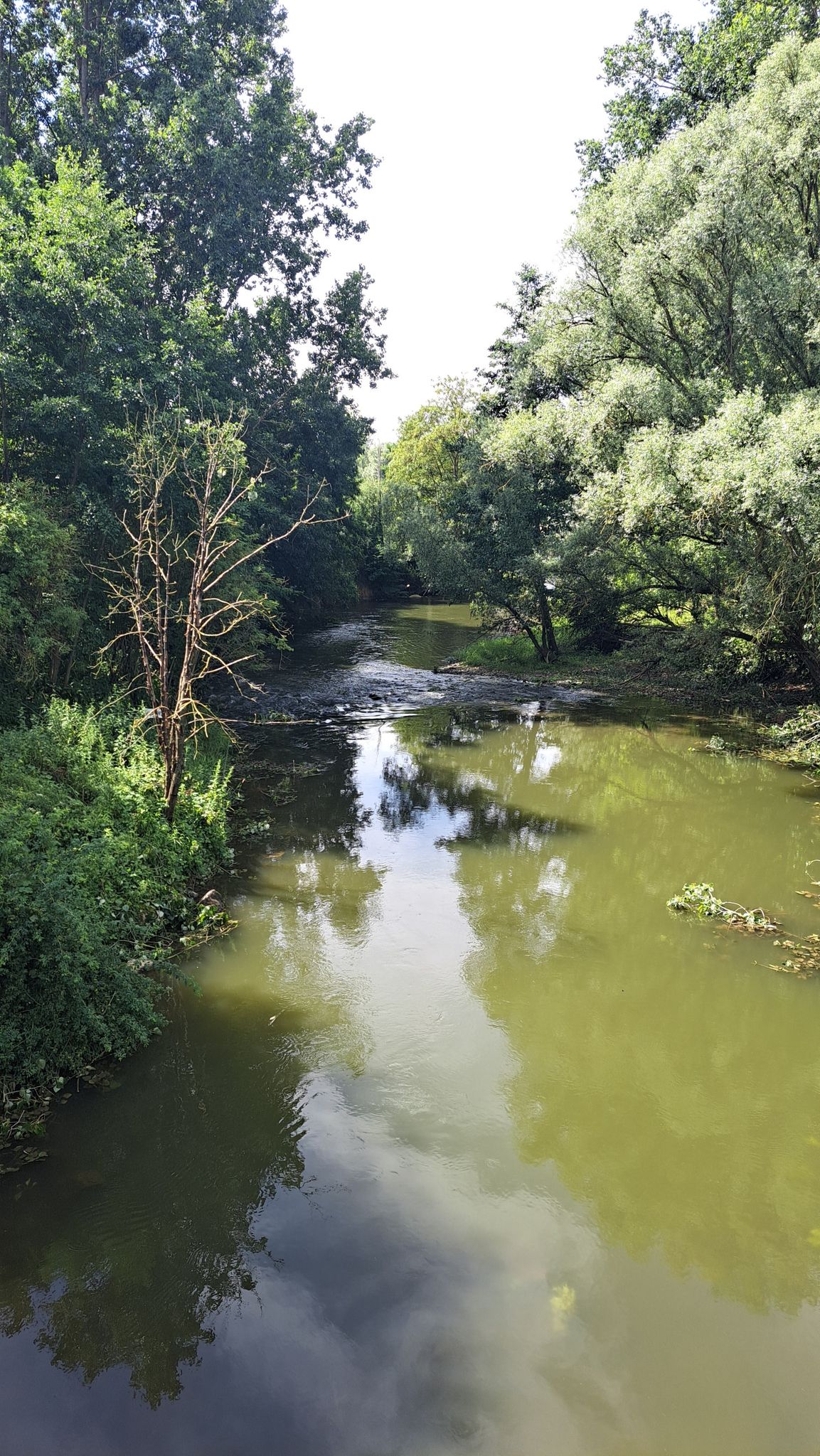 l'oise à macquigny 