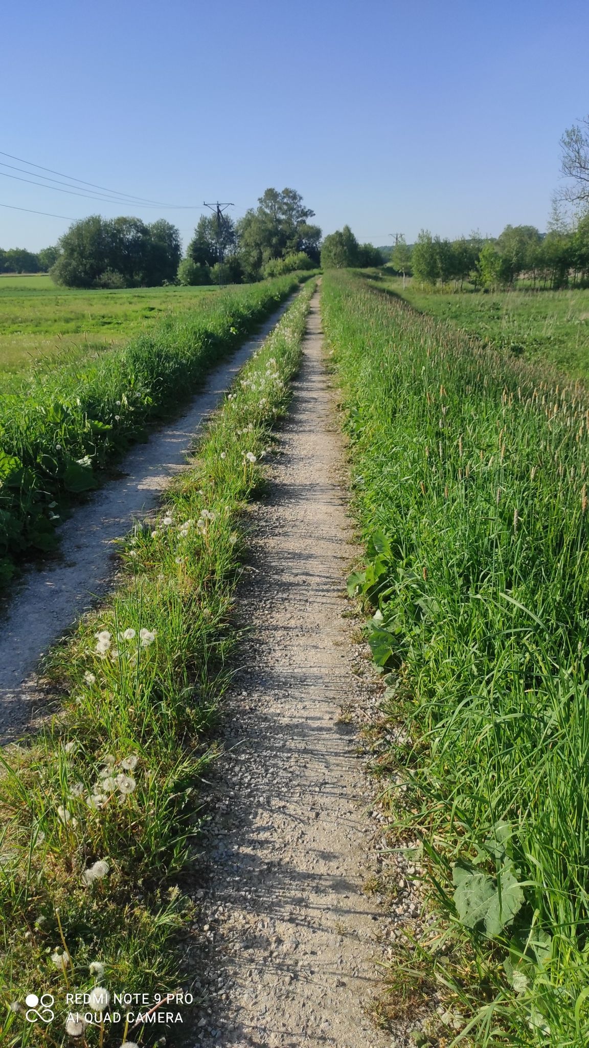 wycieczka