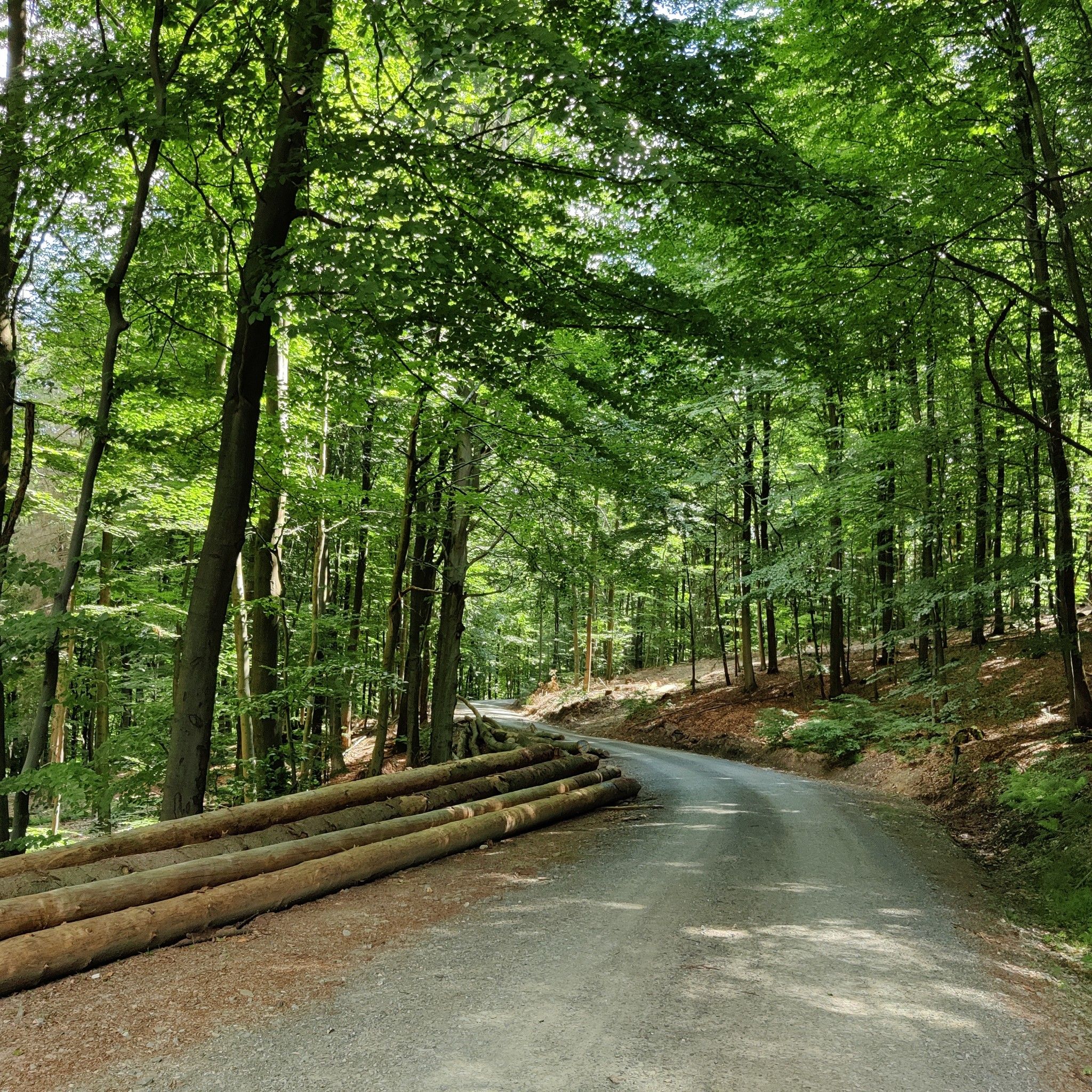 Auf dem Weg zur Georg Kalka Hütte