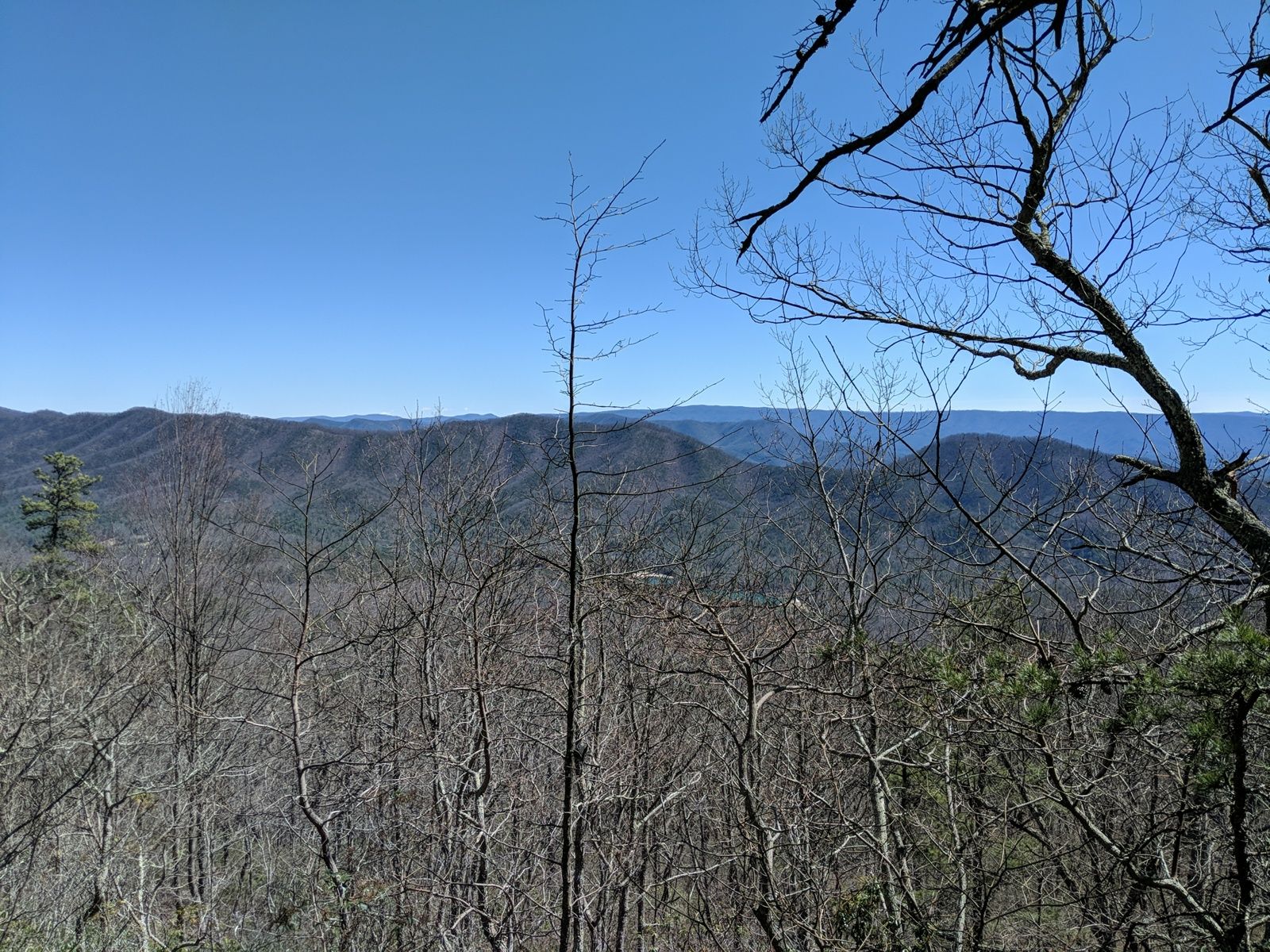 Expansive mountain range under a clear blue sky, framed by bare trees. - Blue Suck Falls Trail – Mountain Top Trail loop from Douthat Lake