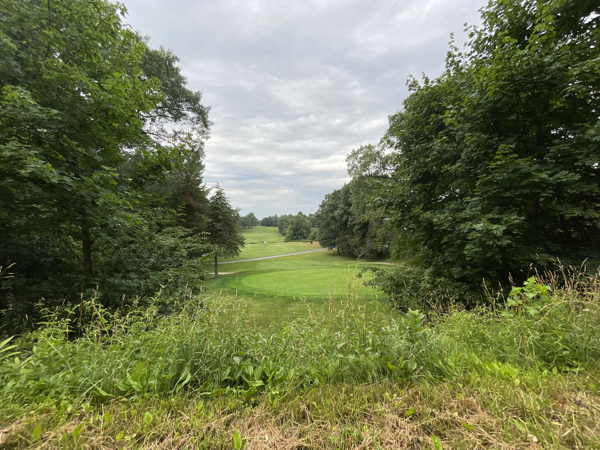 A lush green golf course fairway surrounded by dense trees under a cloudy sky. - Sudbury Aqueduct Path