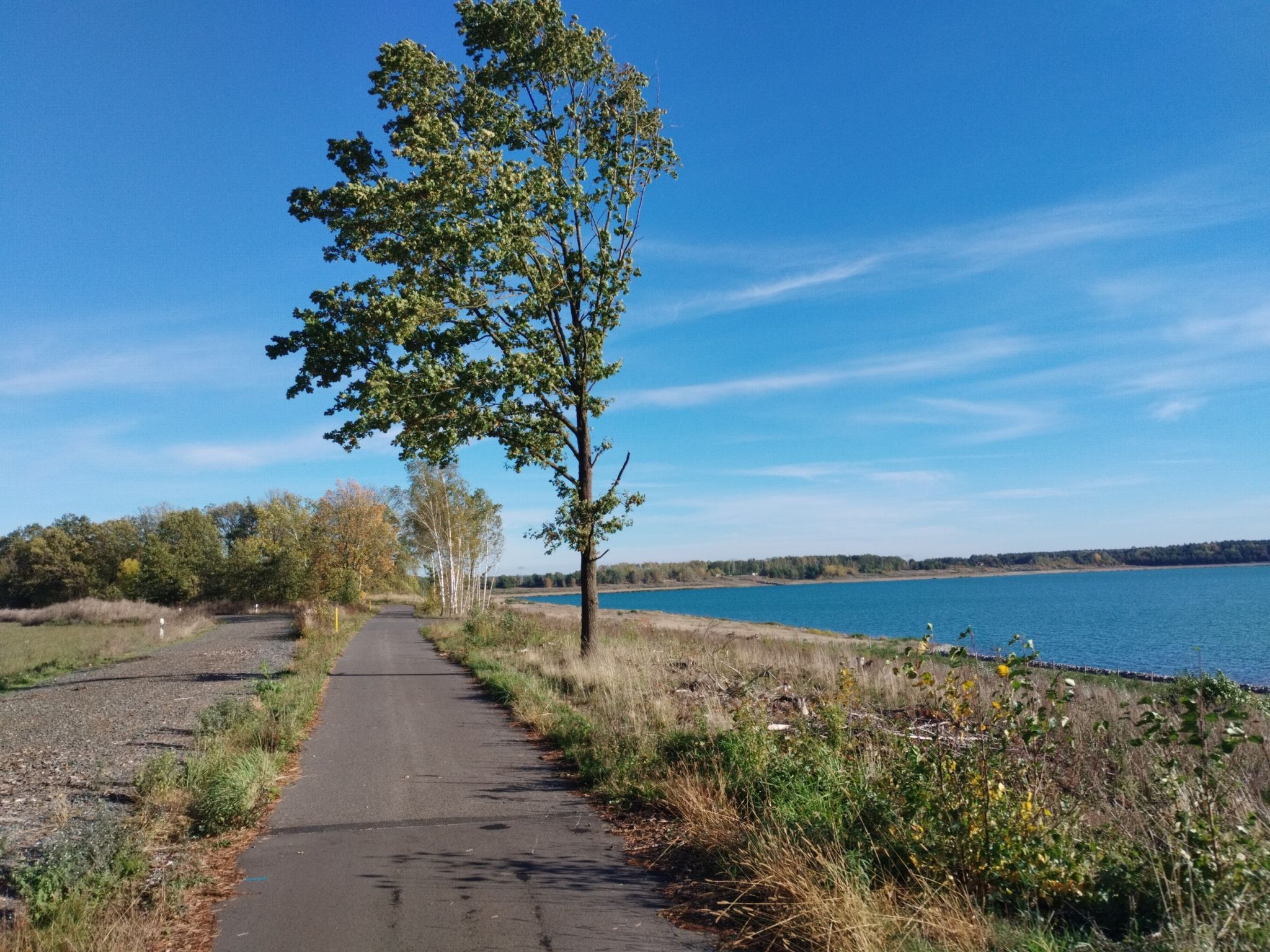 Radweg Seenland