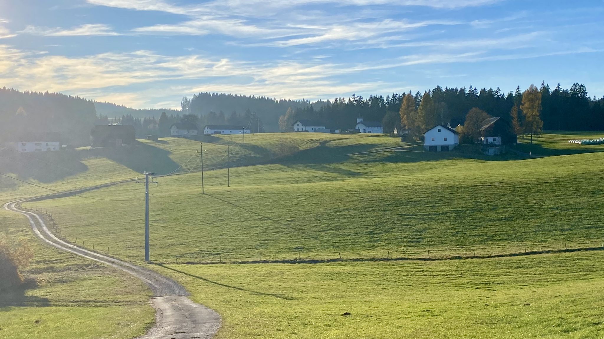 Pürstling